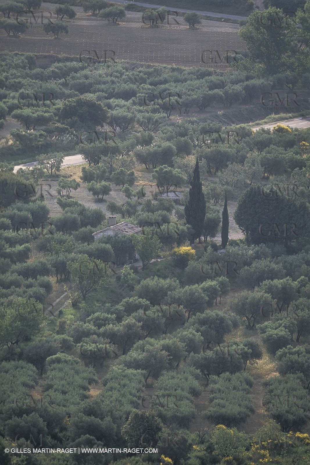 France, south, Alpilles landscapes