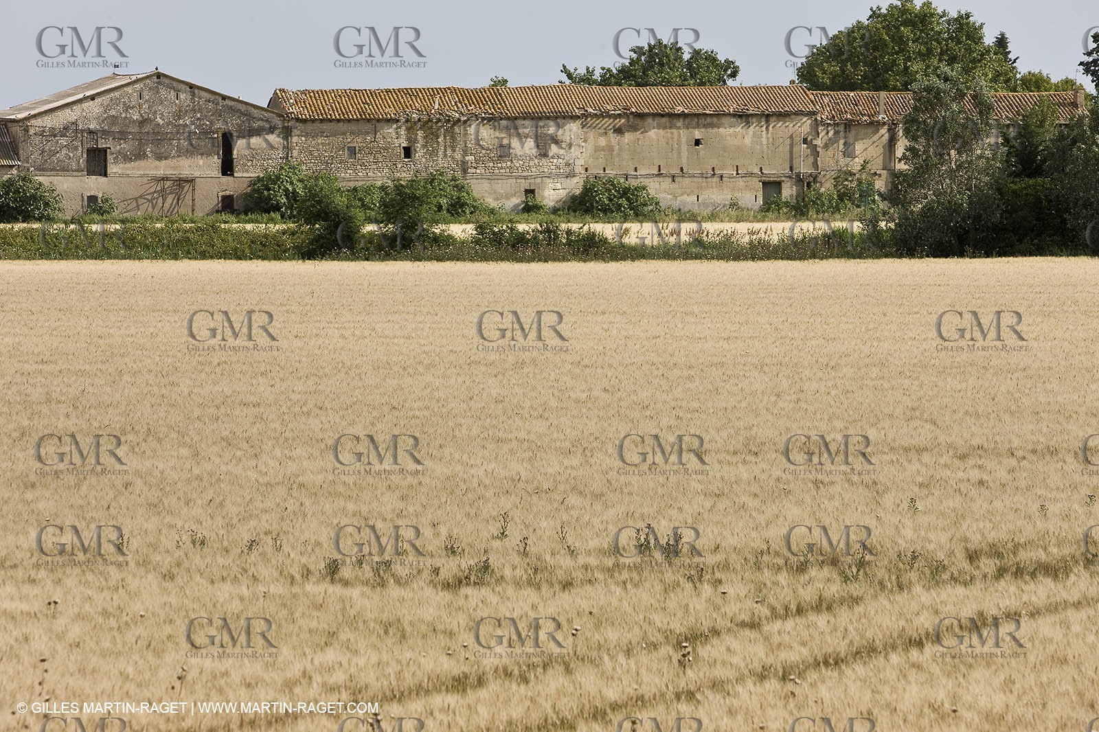 10 06 2008 - Arles and surroundings (FRA, 13) - Vincent Van Gogh south