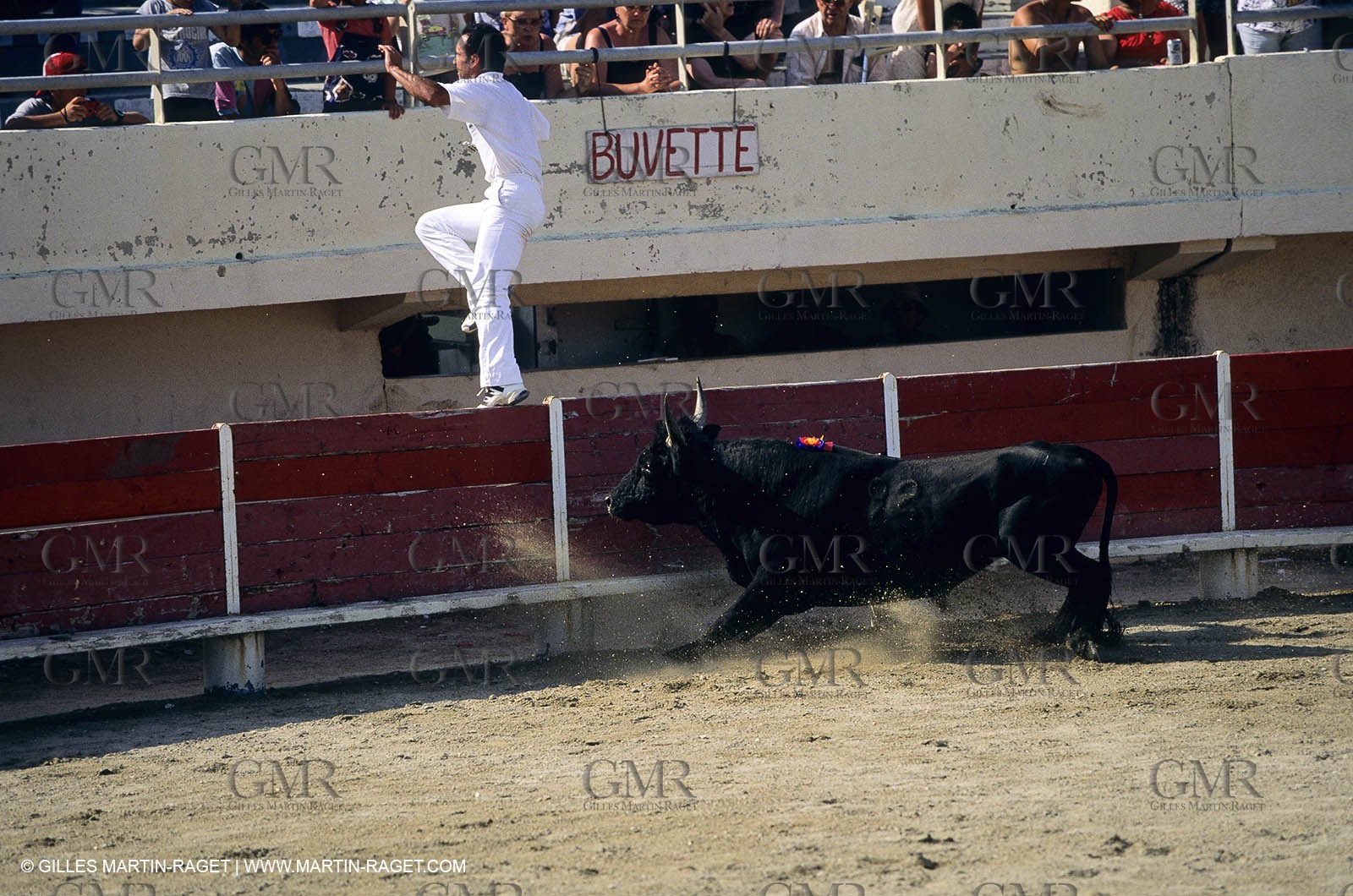 Gard, (FRA,30) - Camargue bull game