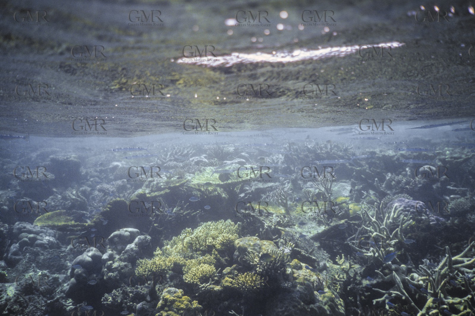 Destinations, Maldives