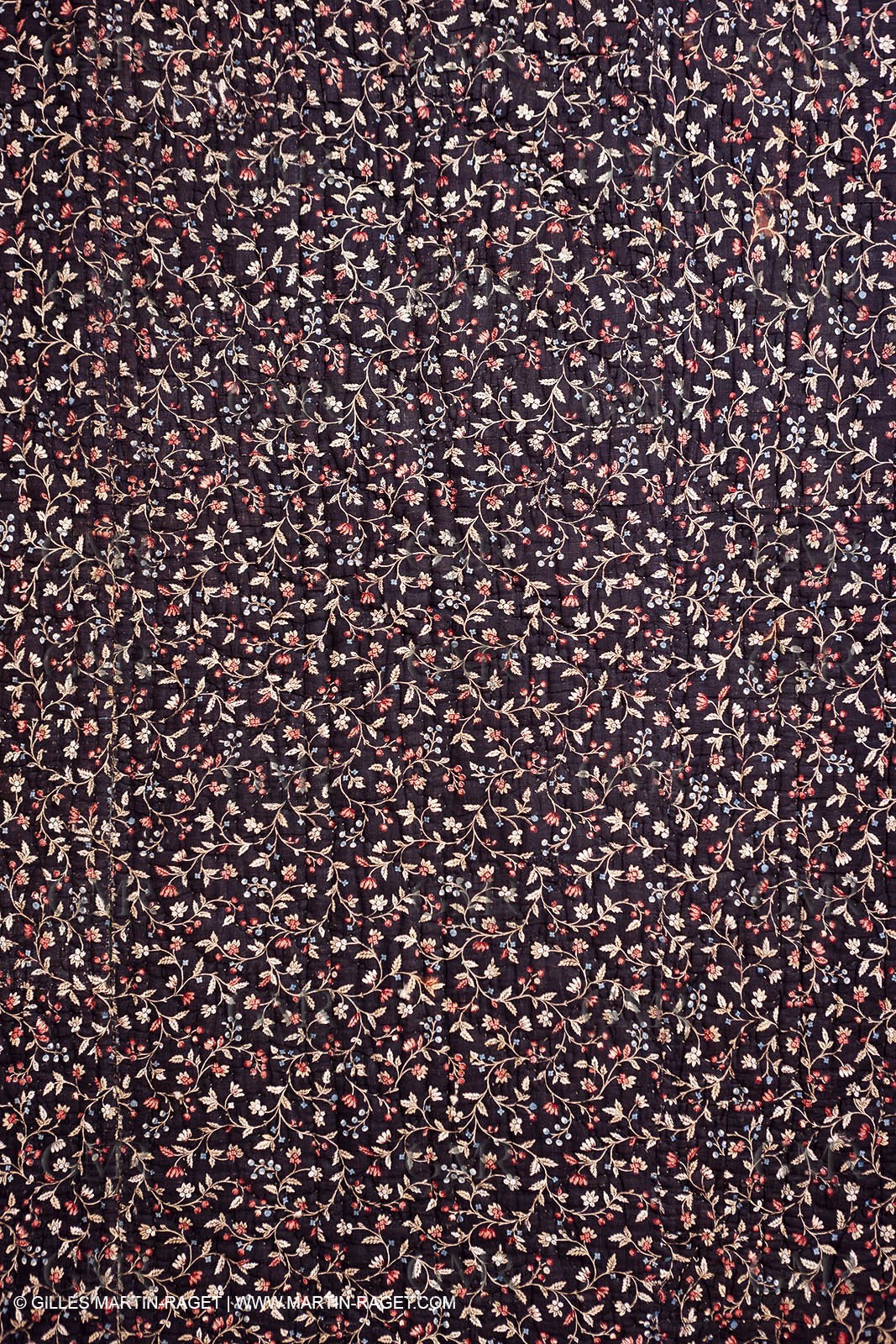 30 06 2011 - Toulon (FRA,83) - Villa Rosemaine - Exposition Indiennes sublimes