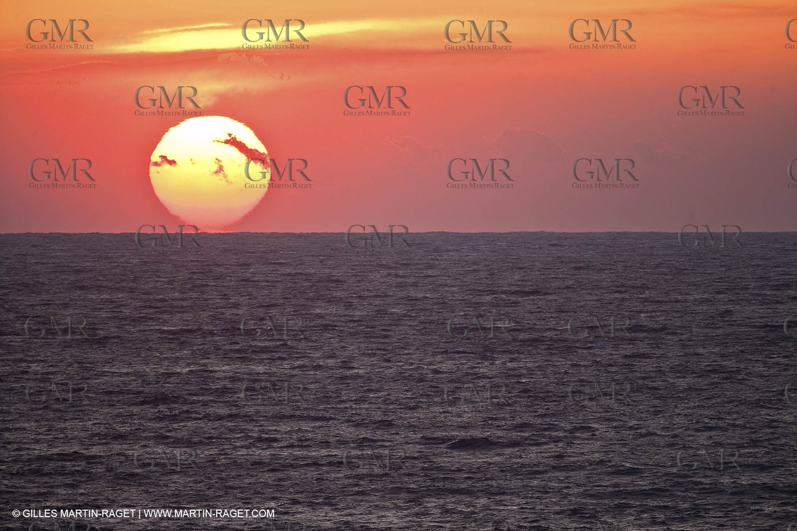 05 03.2009 - Porquerolles côte sud ouext(FRA, 83)