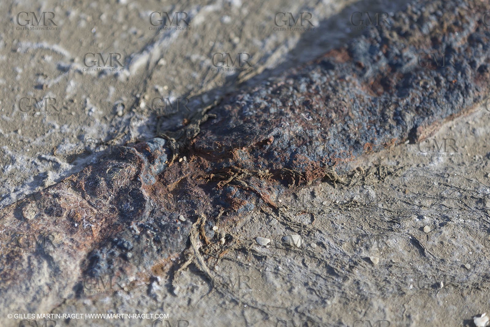 23 10 2014, Salins de Giraud (FRA,13), Salt & Speed 2014, Charlotte Consorti