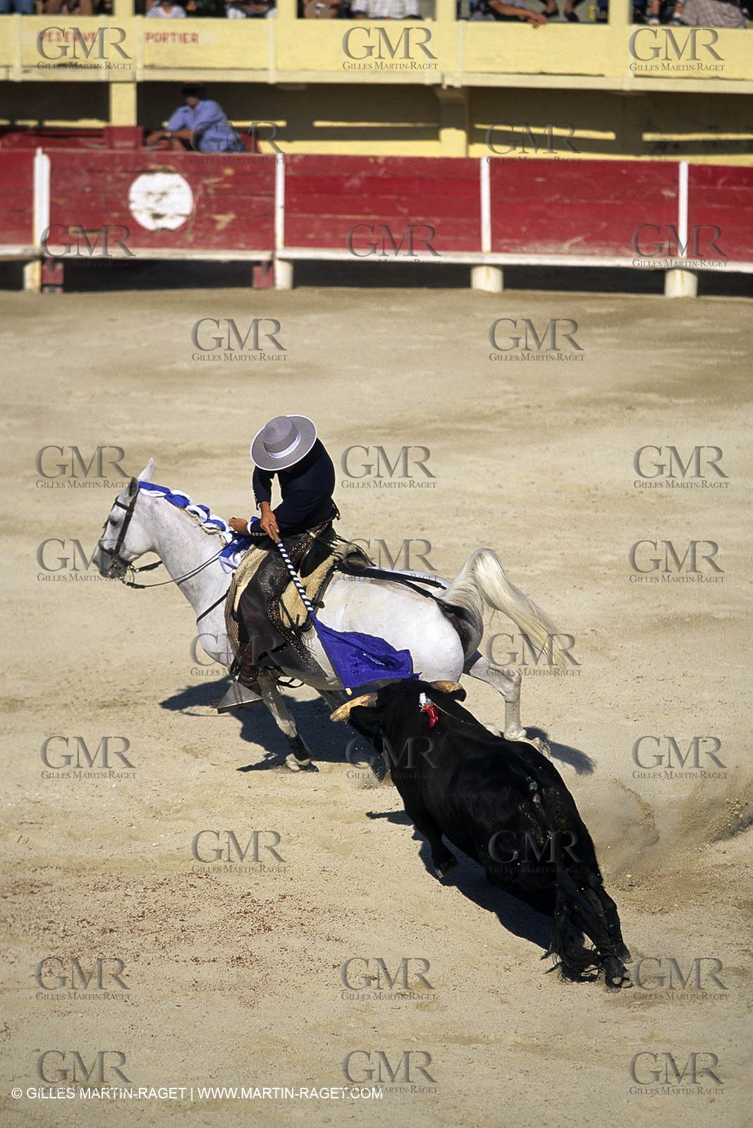 Gard, (FRA,30) - Camargue bull game