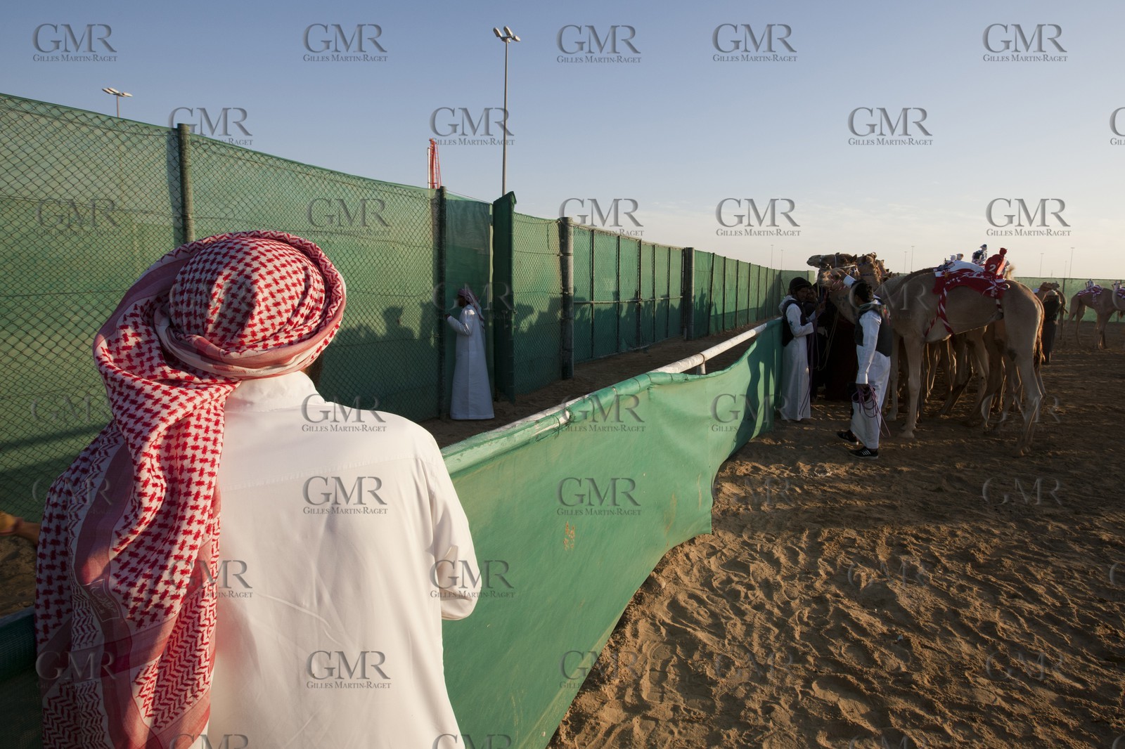 20 11 2010 - Dubai (UAE) - Camel races