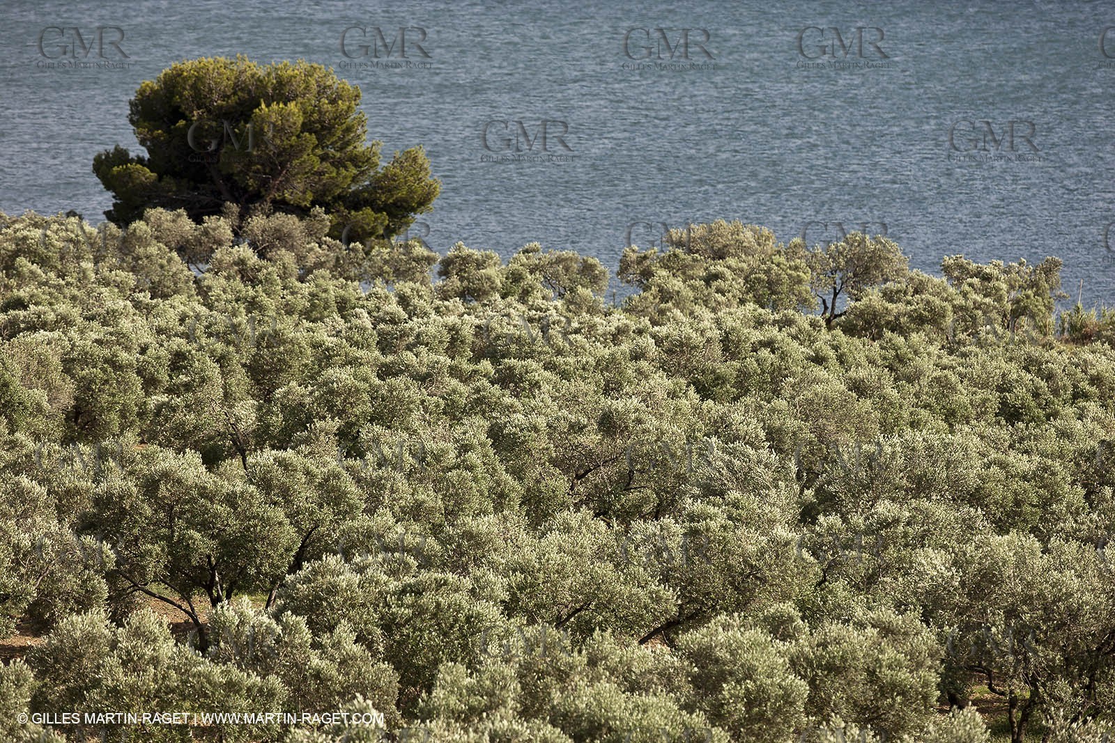 13 06 2012 - Saint Chamas (FRA,13)