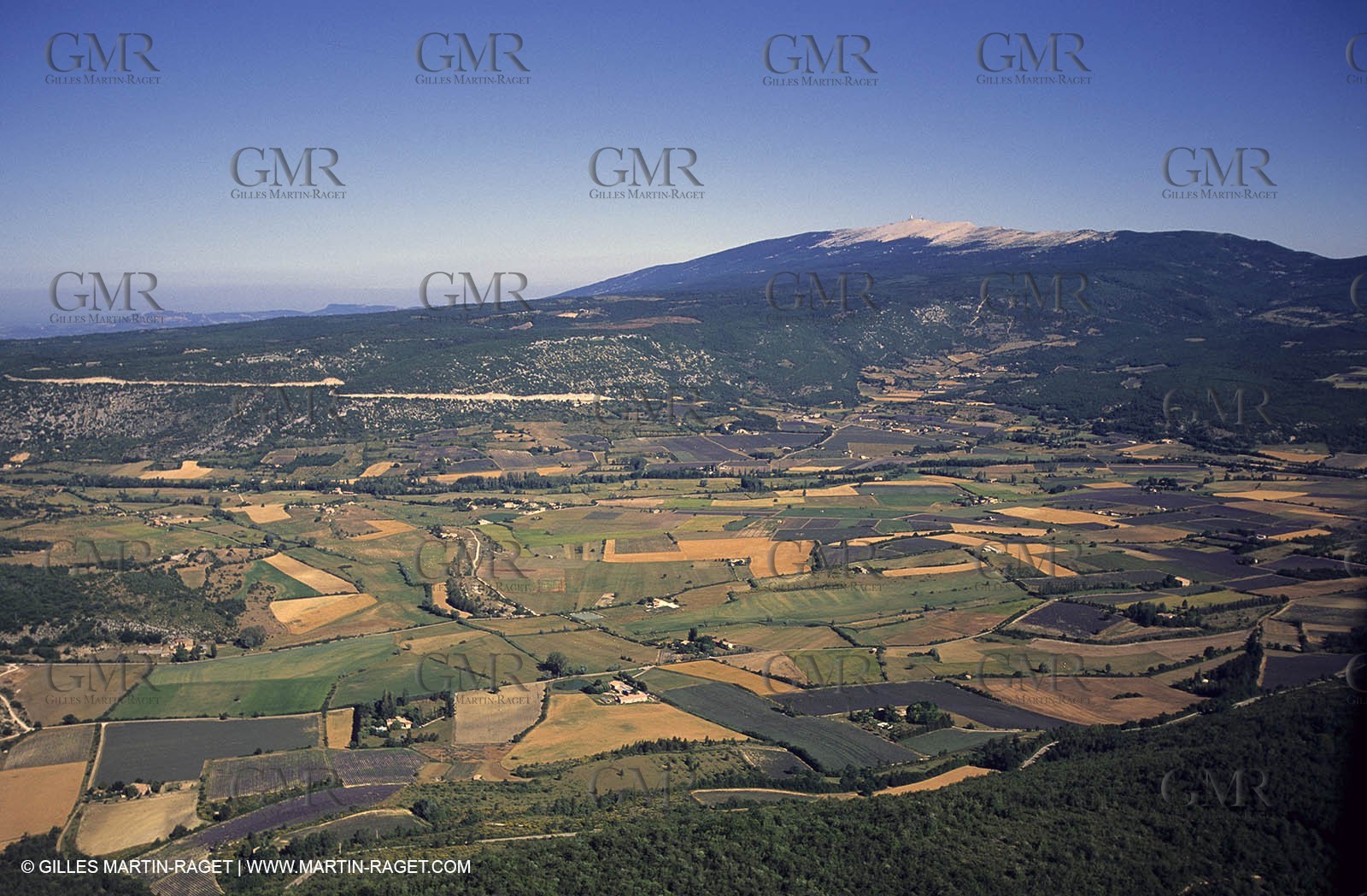 lavander fields , 2005, plateau de sault