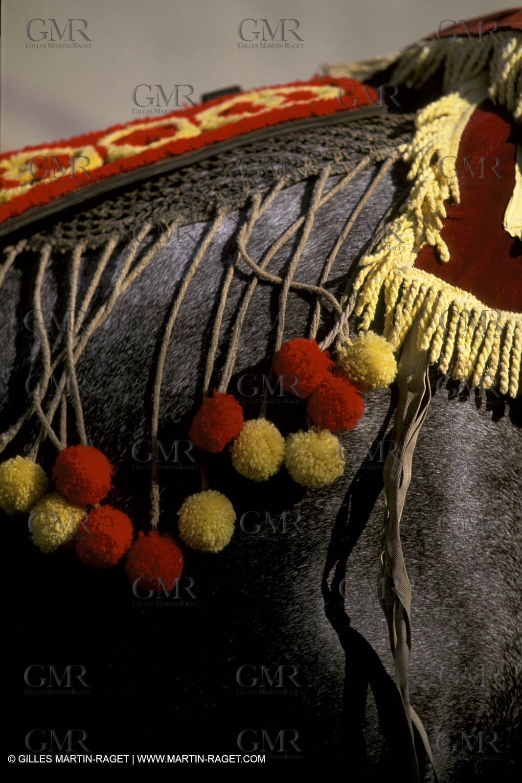 Careto ramado (Flowered chariot) traditional celebration - Saint Rémy de Provence