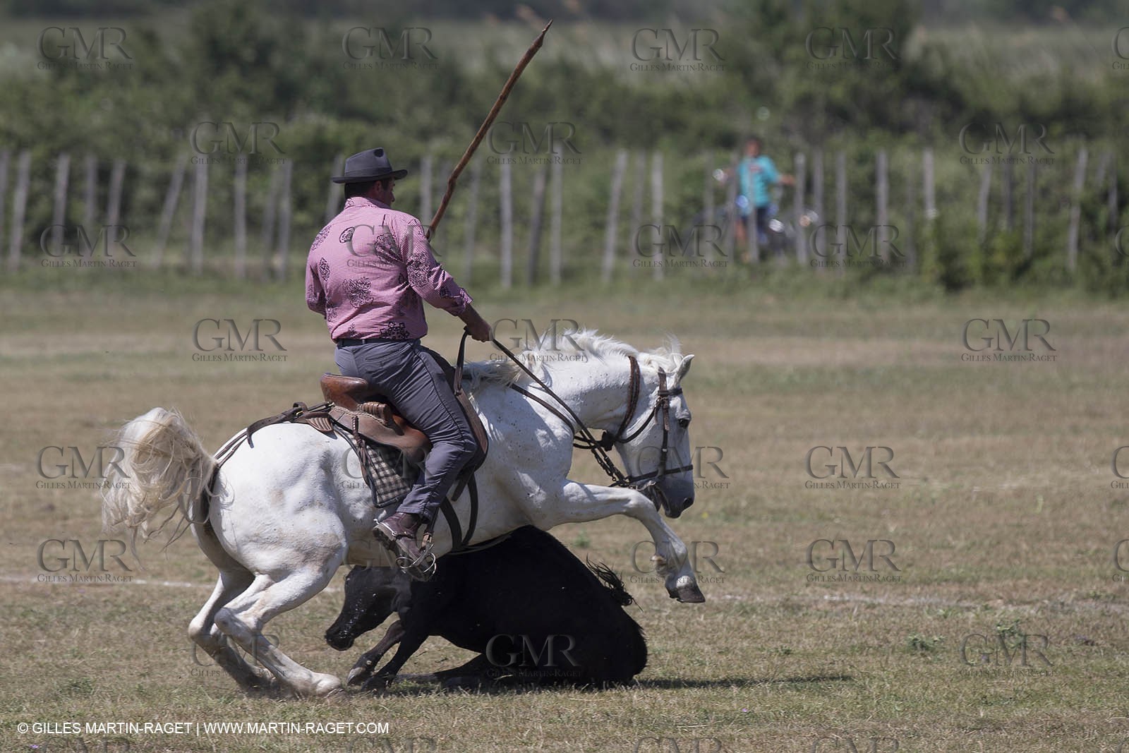 Course de Satin 2014 - Arles (FRA,13) - 1 06 2014**The satin race - Arles (FRA,13) - 01 06 2014