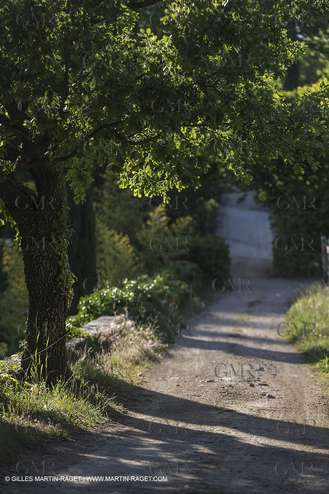 Domaine de la Baume - Tourtour (FRA,83) - 15 05 2014