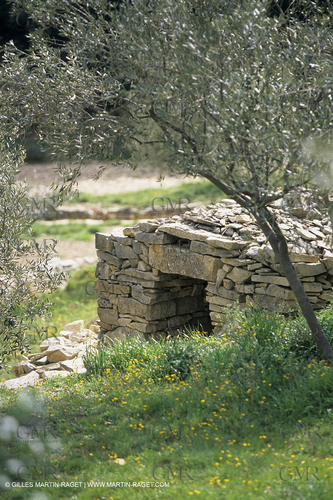 Paysages de Nîmes Métropole (FRA,30) - La Garrigue