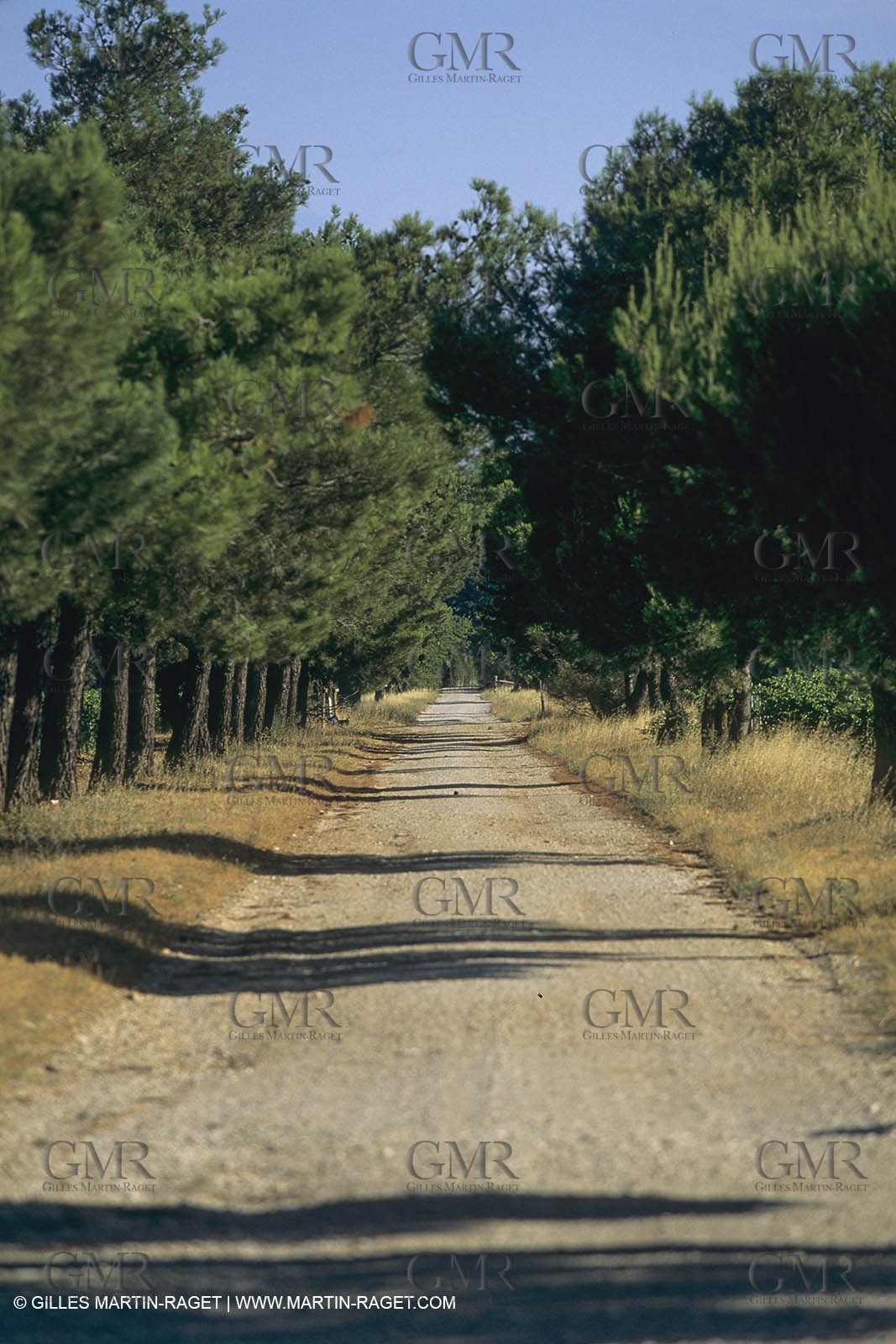 France, south, Alpilles landscapes