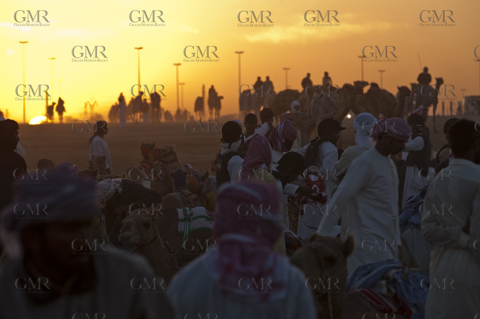 20 11 2010 - Dubai (UAE) - Camel races
