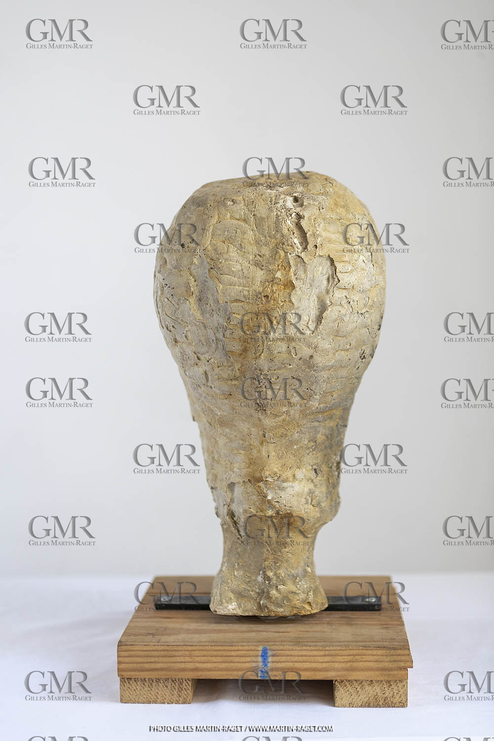 Oeuvre Germaine Richier, Plâtre buste n° 12, dit 'Le Tatou , 1934