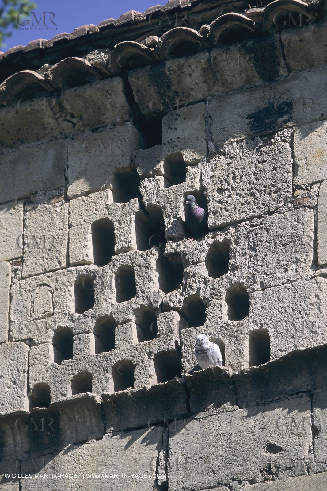 France, Provence, Camargue, Mas traditionnel de Camargue