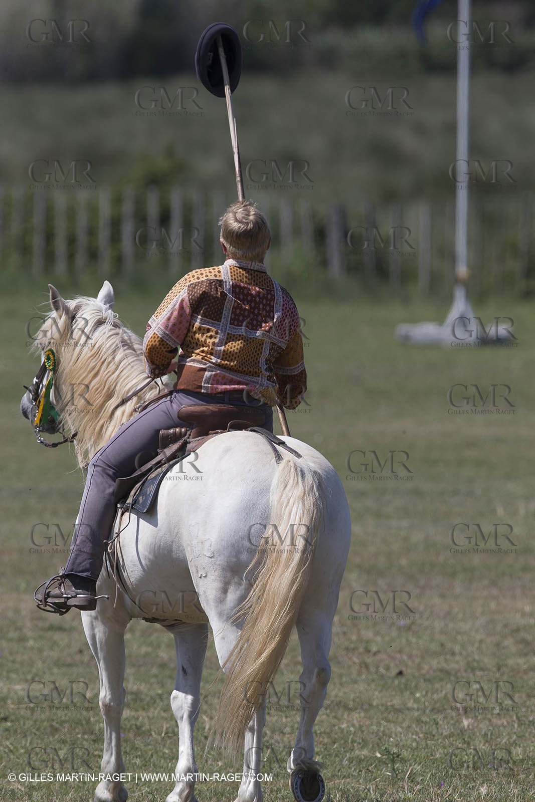 Course de Satin 2014 - Arles (FRA,13) - 1 06 2014**The satin race - Arles (FRA,13) - 01 06 2014