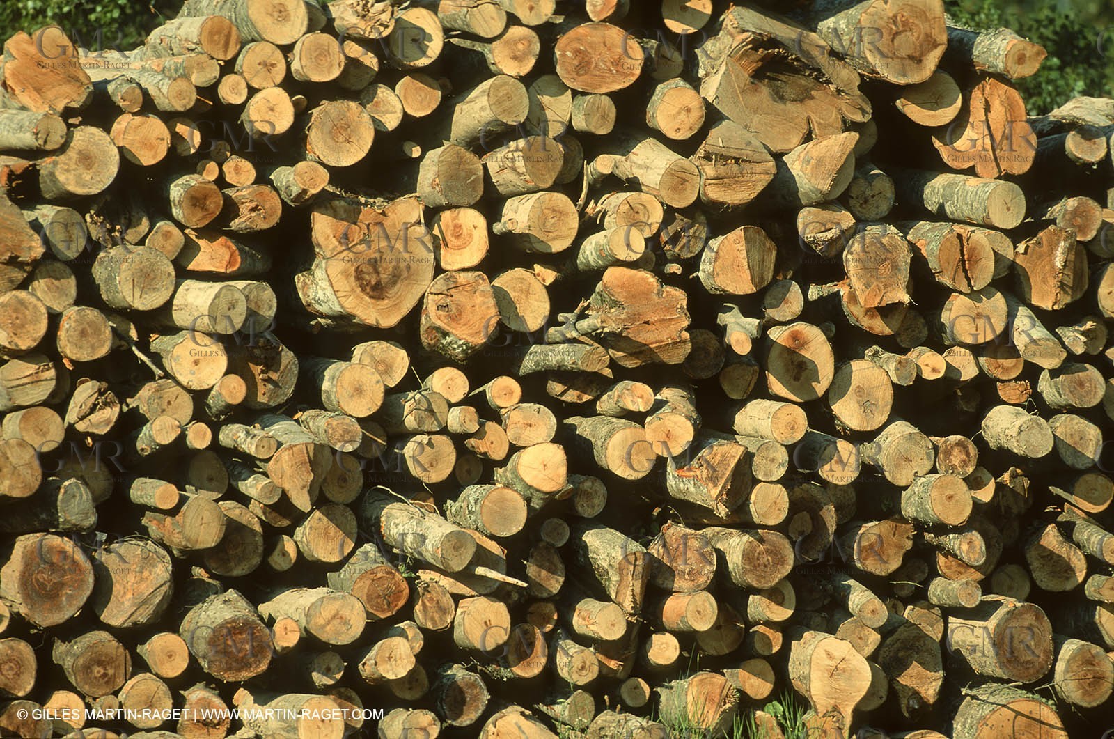 France - Southern Alps