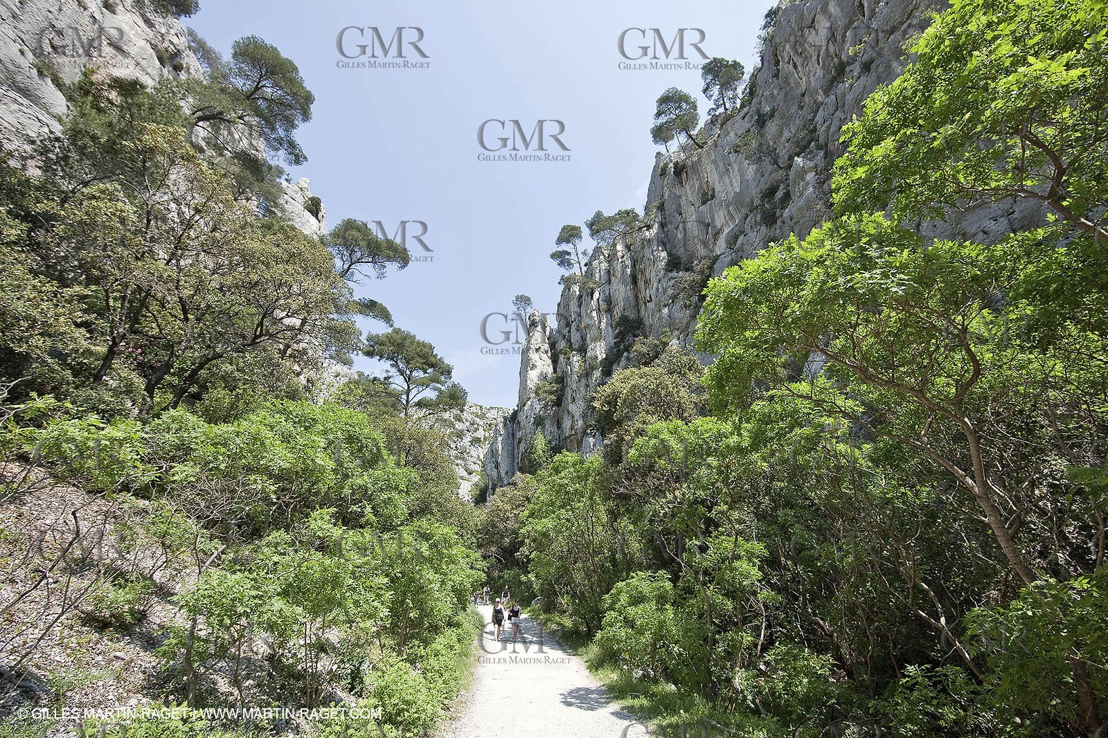 03 05 2009 - Marseille (FRA, 13) - Les Calanques - En Vau - Vallon d'en Vau