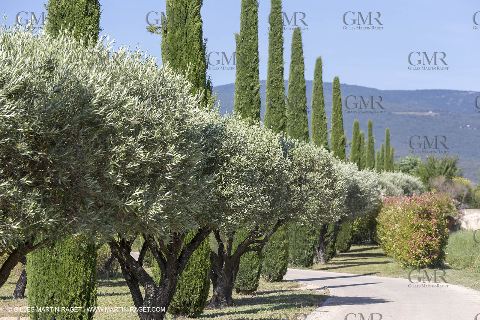 22 06 2018, Saint-Saturnin les Apts (FRA,84), Domaine des Andéols