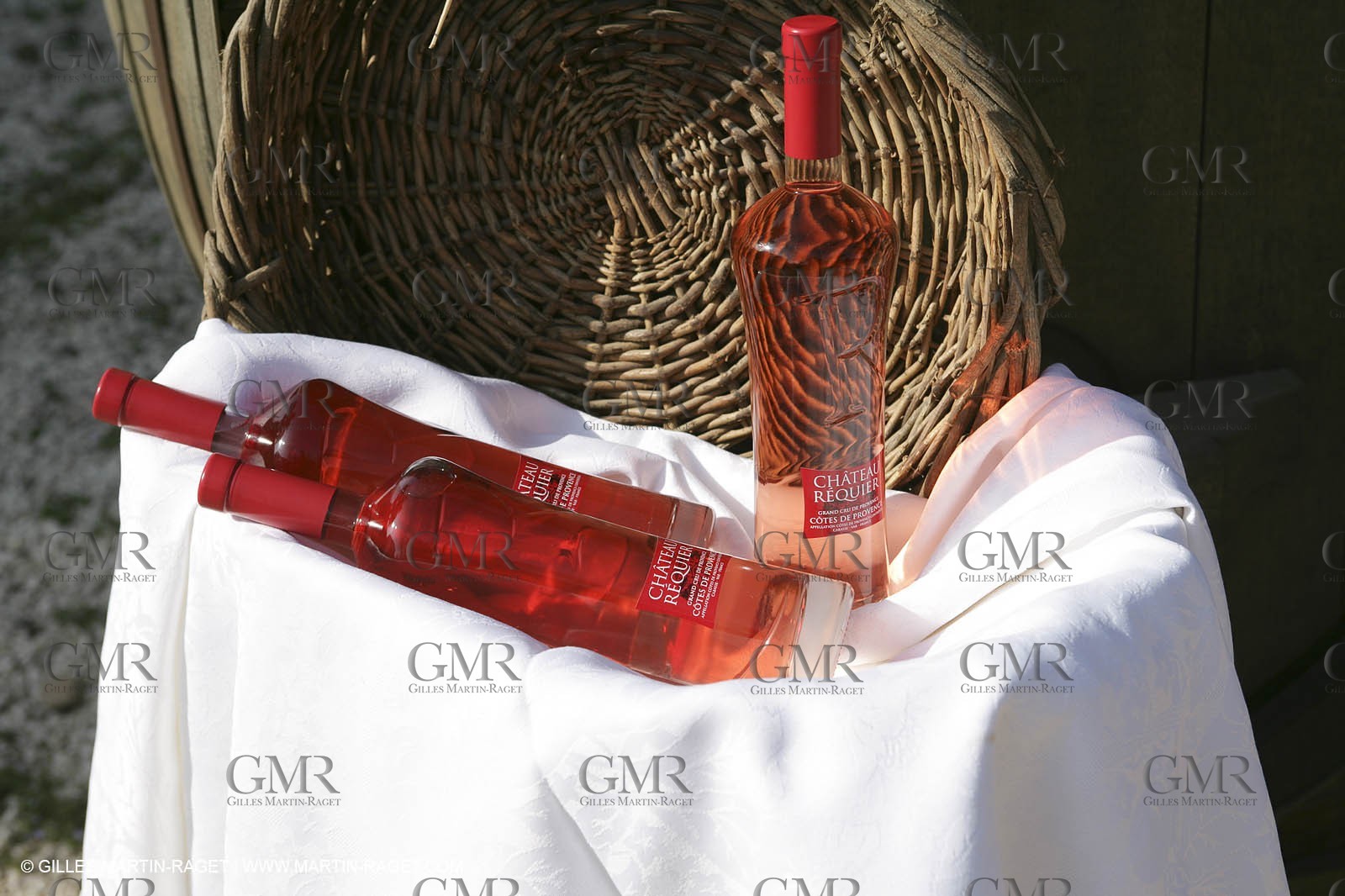 28 02 2008 - Cabasse (FRA, 83) - Domaine du Lac vines