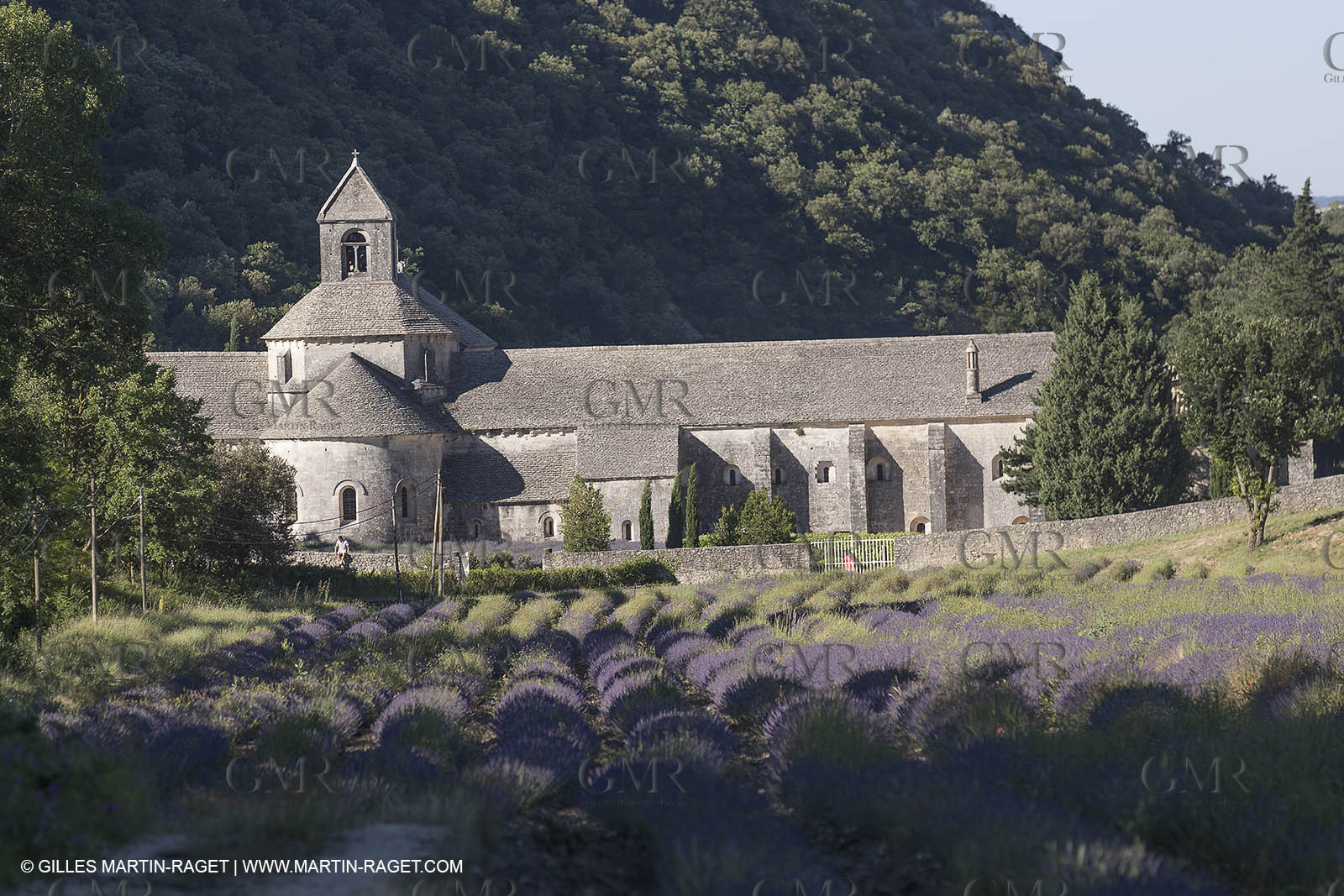 25 06 2018, Gordes (FRA,84), Abbaye de Sénanque