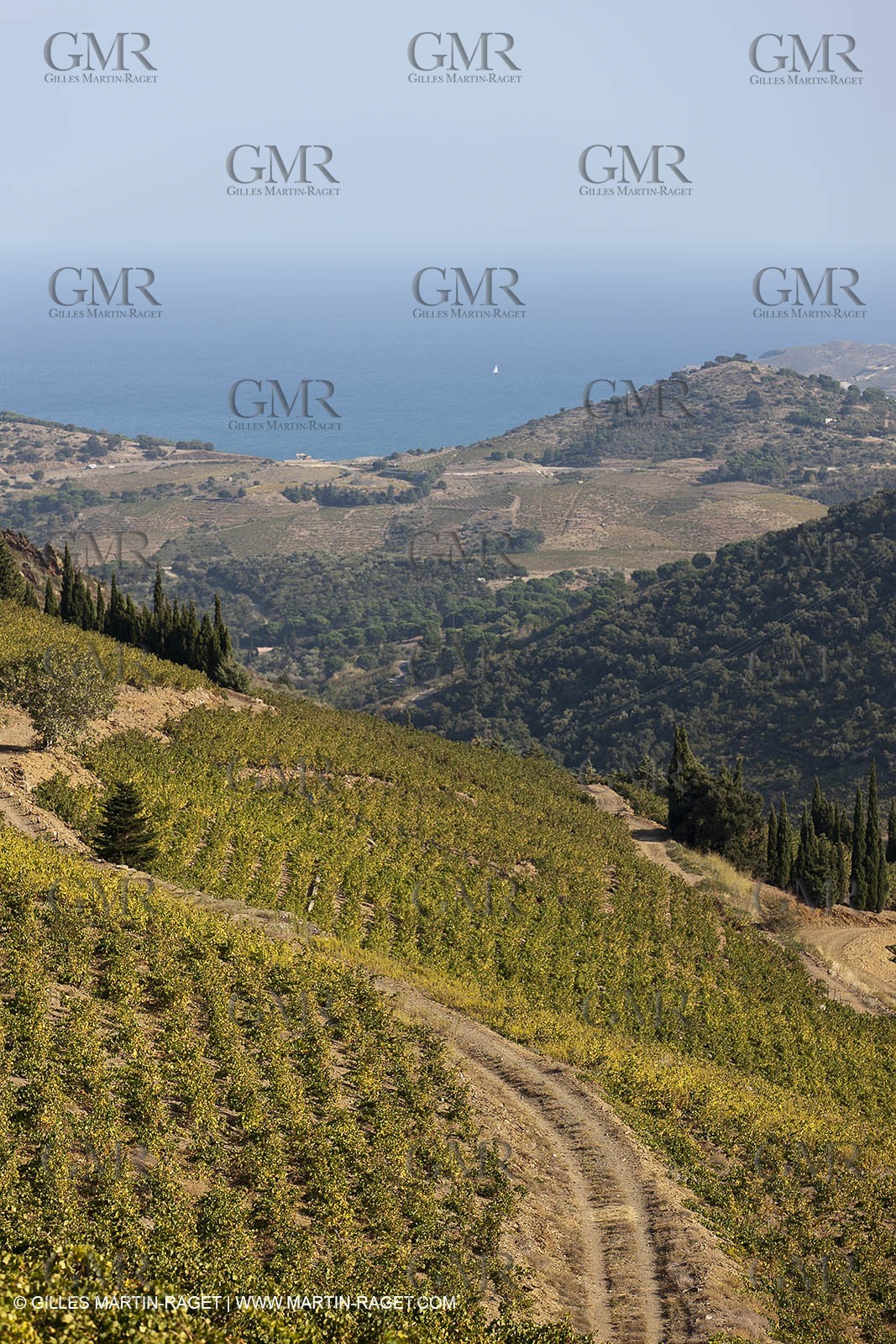 17 10 2011 - Vermeille Coast (FRA, 66) - Corbières Vineyards
