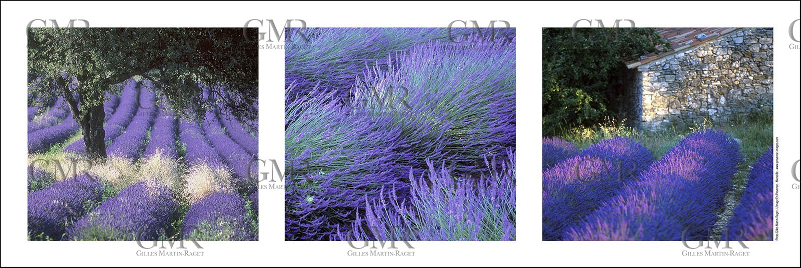 Product: in house made quality print on 8 ultrachome colors Epson ink Jet printer.Available sizes: . 20x 60 cm. 33 x 95 cm. 52 x 150 cmAvailable papers:  . Standard 250 gr glossy paper print, black streak, white margin, no signature . Top quality glossy 290 gr. paper, black streak, white margin, checked and signed by the author . Fine Art print (signed, numbered, stamped, registered) on demand . Other supports (Canvas, Acrylic, Metal) on demandPackaging: cylindric reinforced tubeShipping options: regular mail or Shipping companyClick on the basket icon to select your options and start the online ordering process