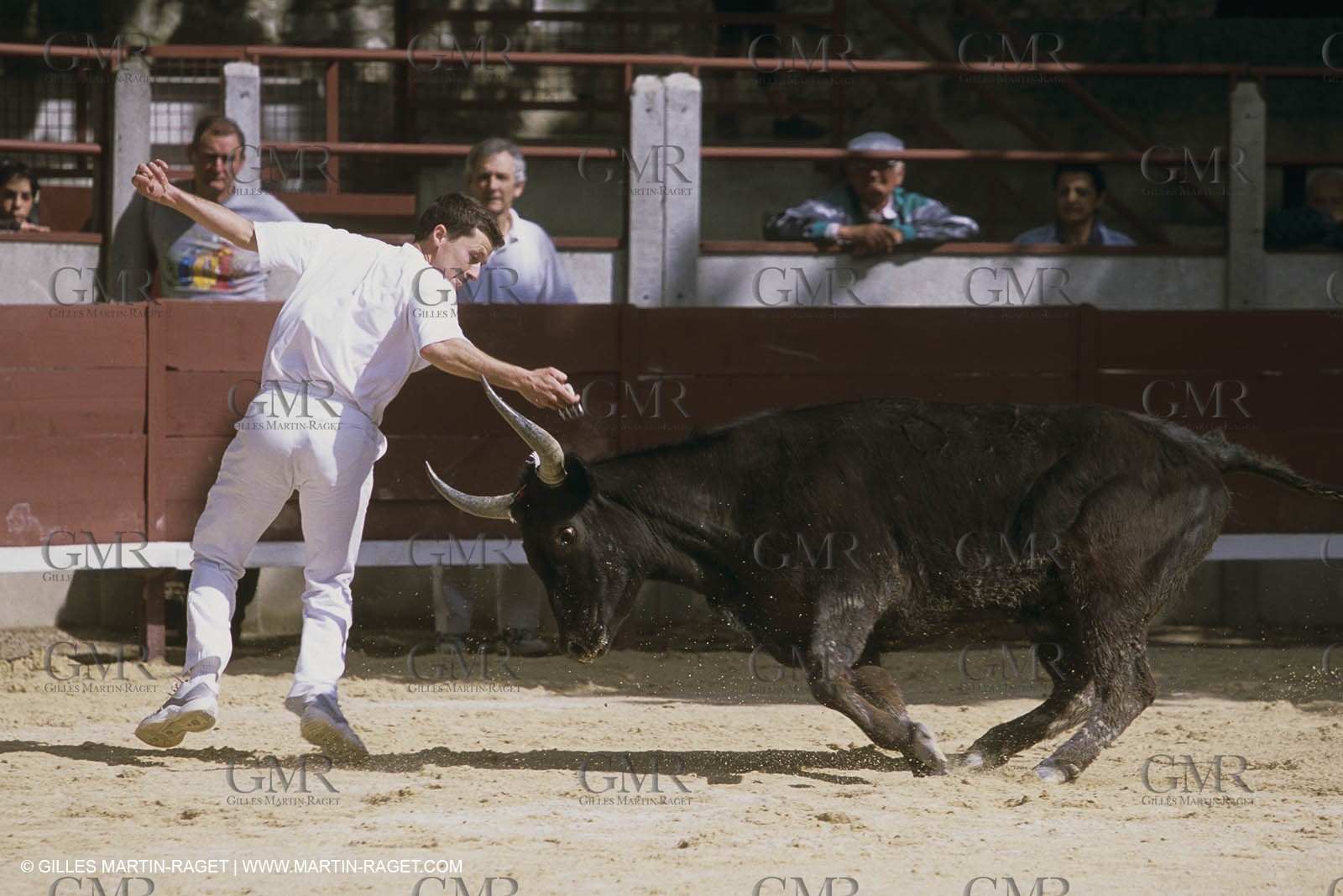 France, Provence, Course libre