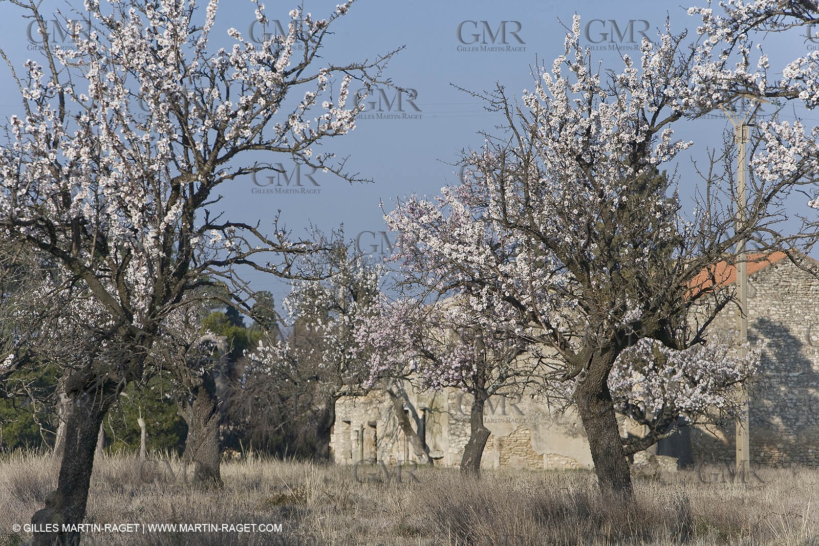 16 02 2008 - Saint Rémy de Provence (FRA, 13) - Alpilles hills landscapes