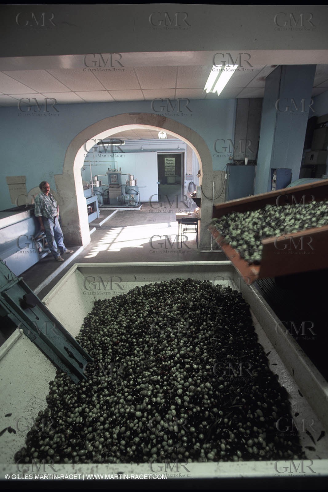 Baux de Provence valley olive tree fields, olives, olive oils