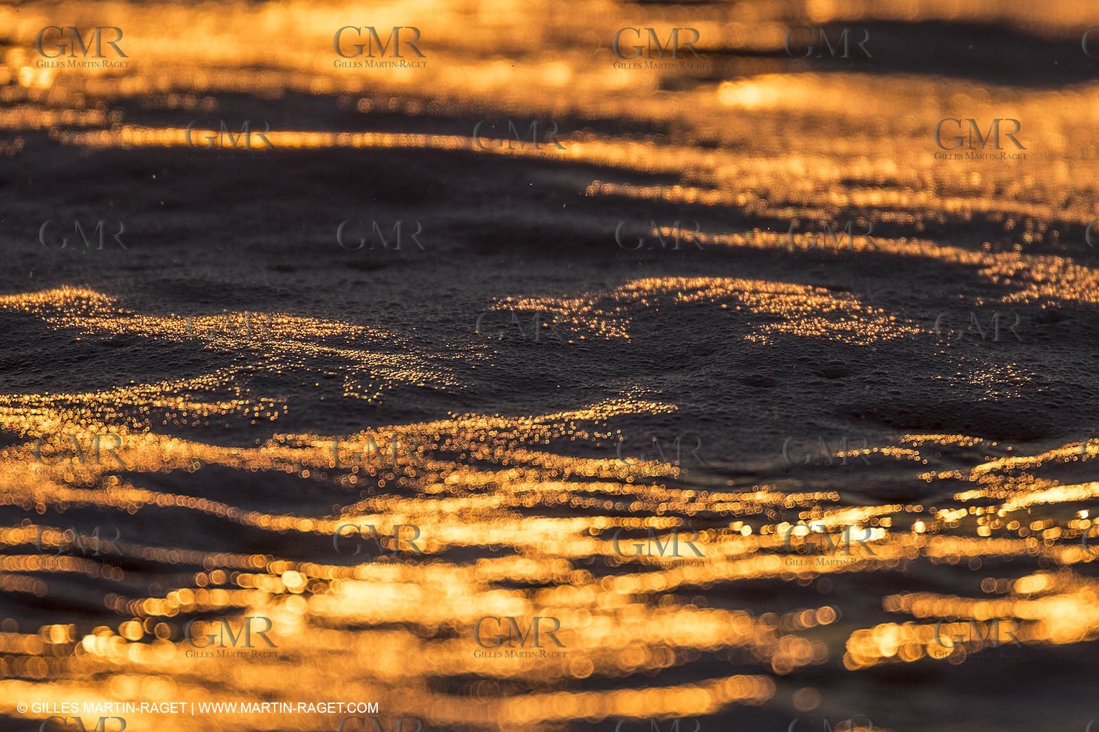 21 12 2014, Barcelona (ESP), Barcelona World Race 2014-15,