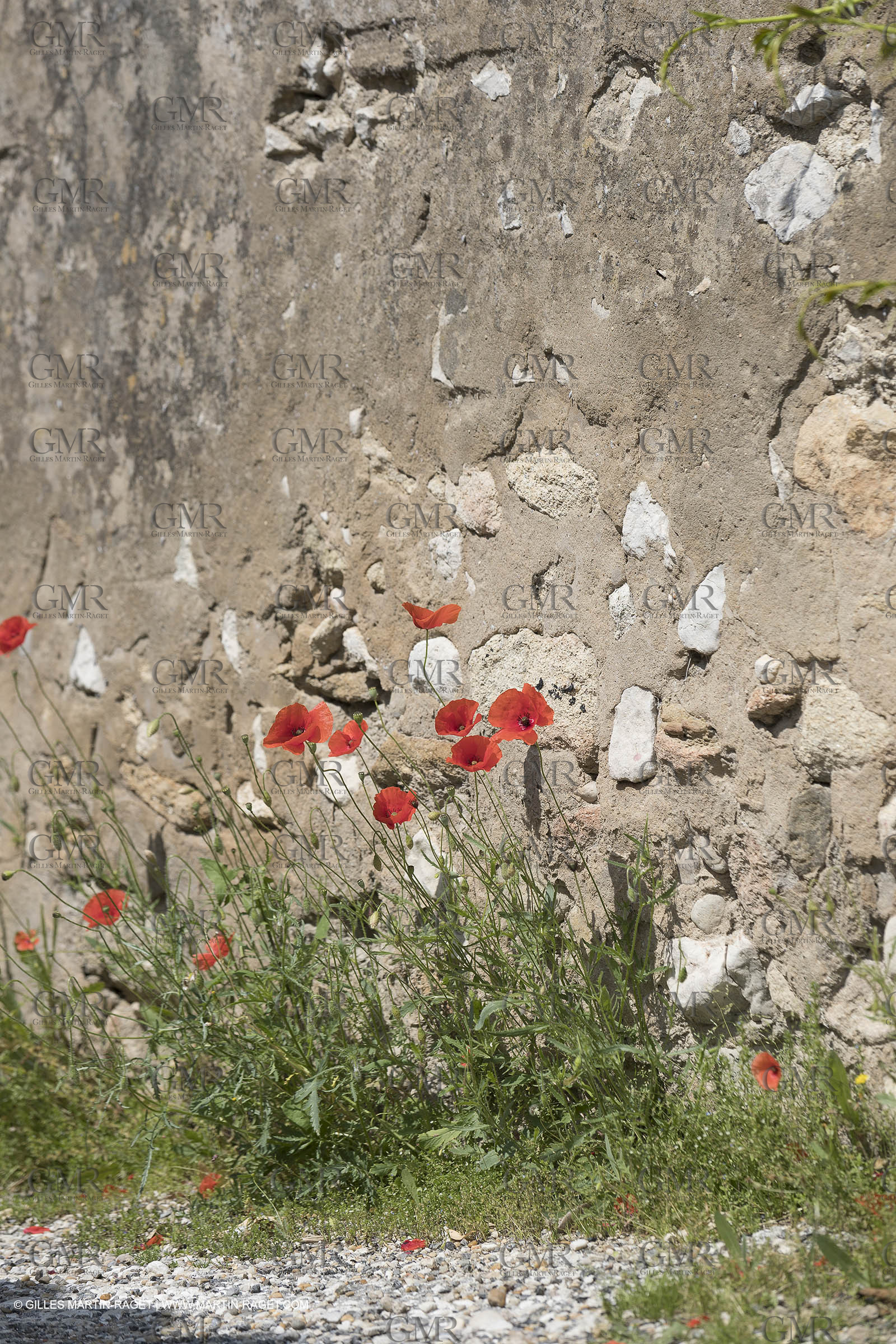 11 05 2018, Robion (FRA,84)