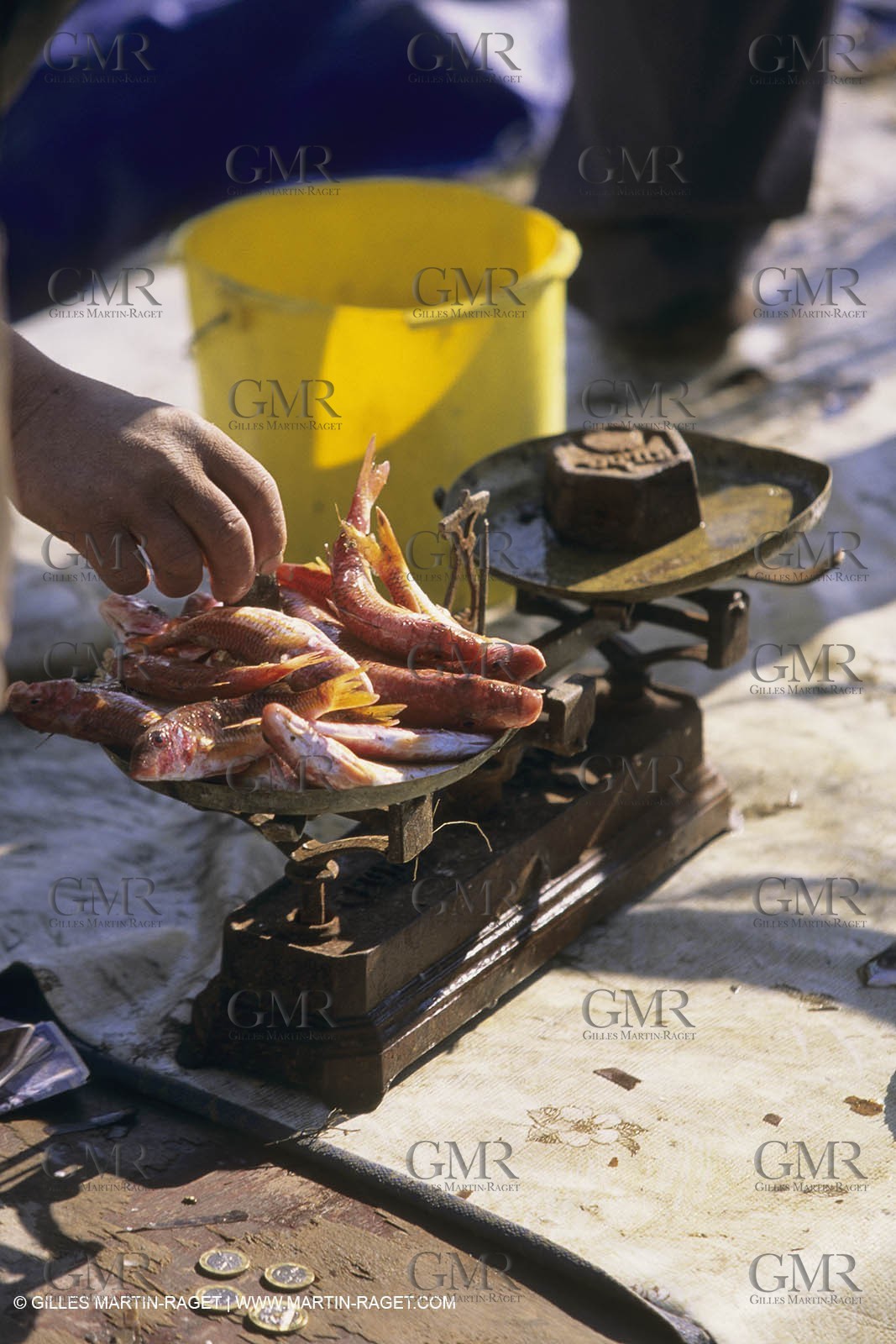 Pêche, barques, pointus, pêcheurs