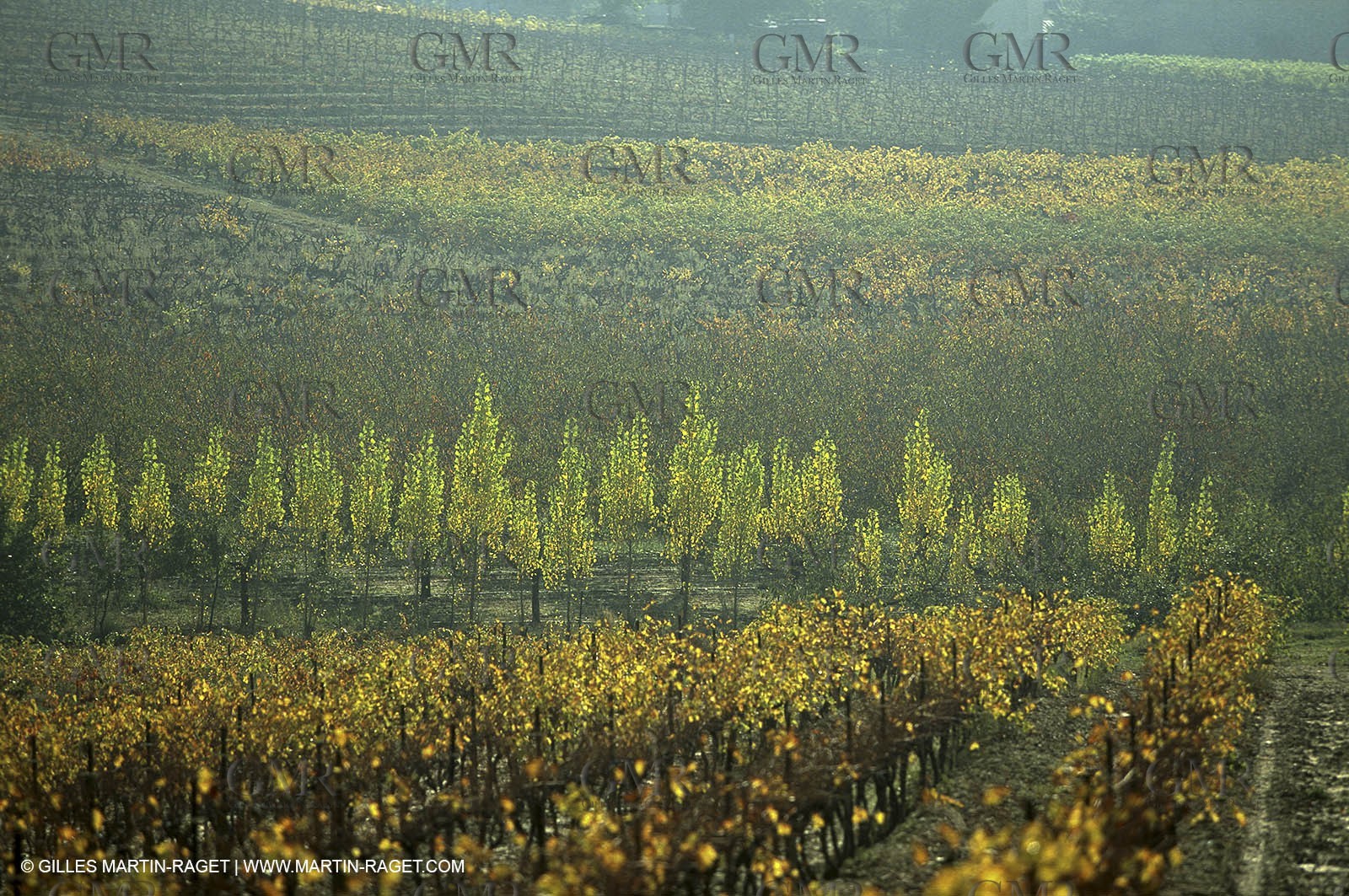 Luberon (FRA,84), Fall colors
