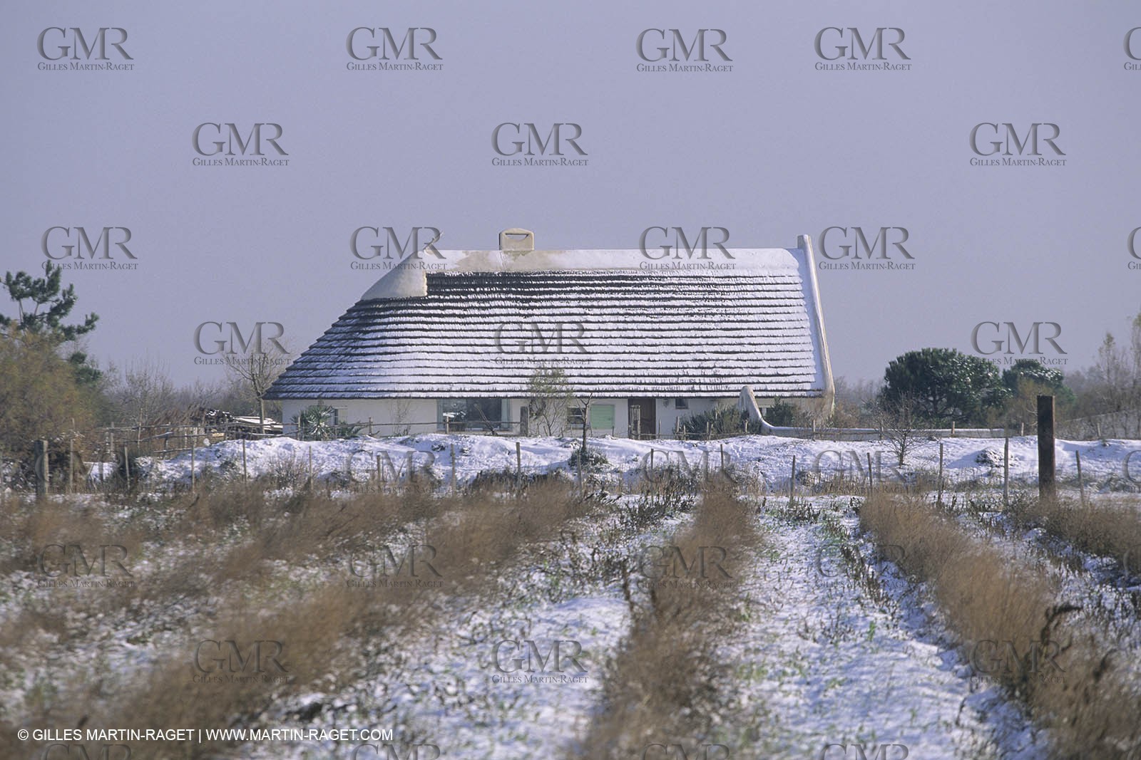 France, Provence, Camargue, Cabane de gardian, Gardian quant