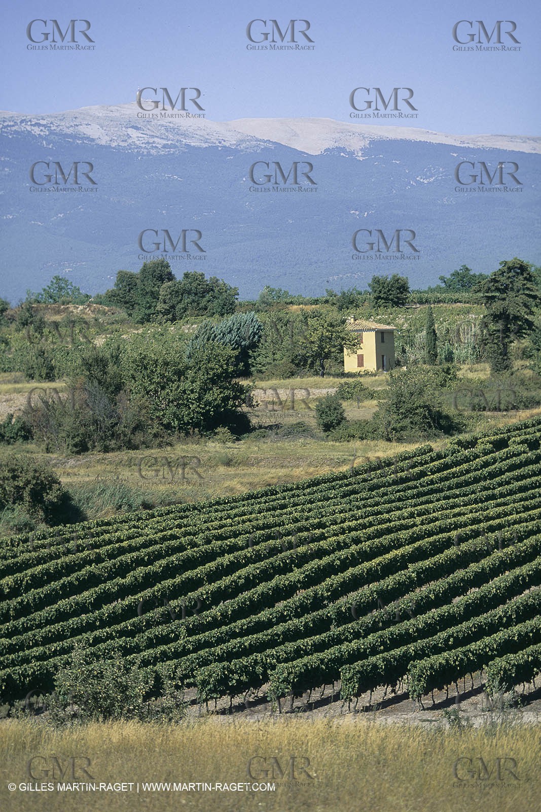 France, Provence, Mont Ventoux