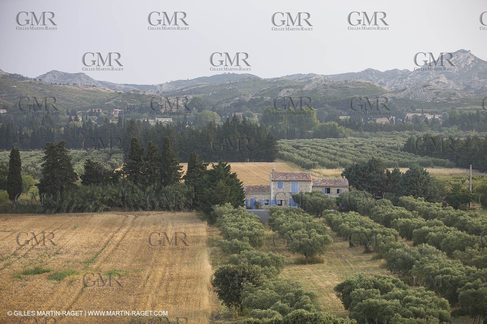 24 Juin 2008 - Mouriès (FRA-13) - Paysage des Alpilles - Collines du Destet