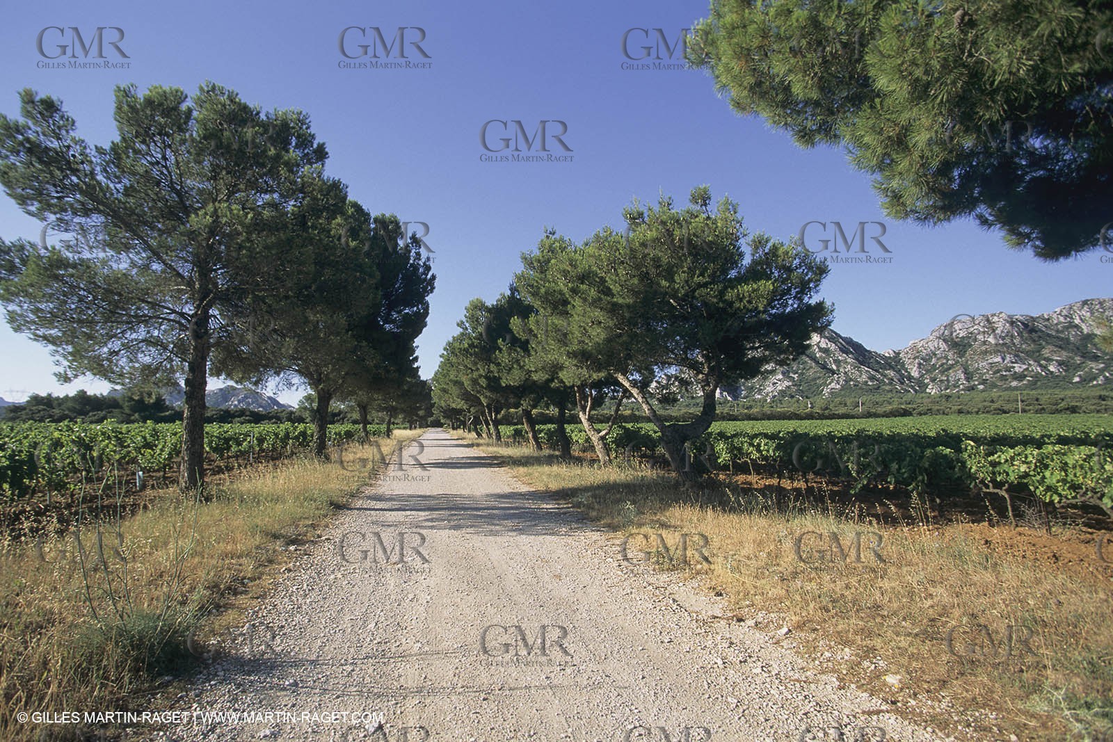 France, south, Alpilles landscapes