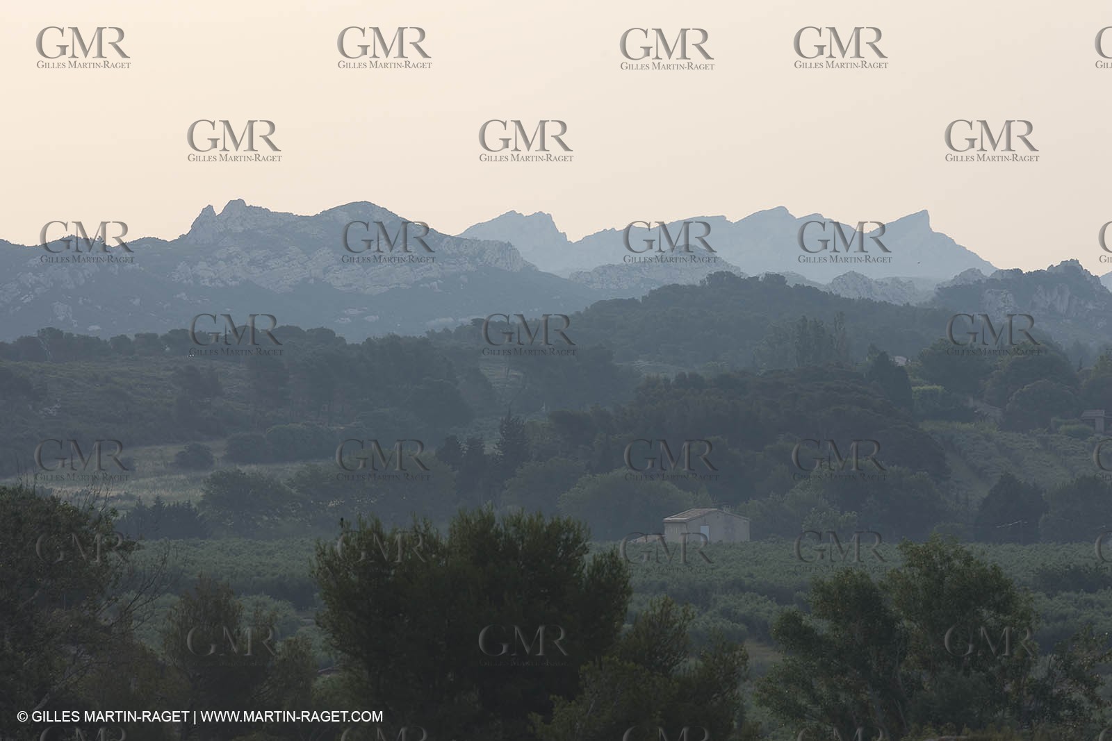 June 24th 2008 - Mouriès (FRA,13) - Alpilles hills landscapes - Le Destet area