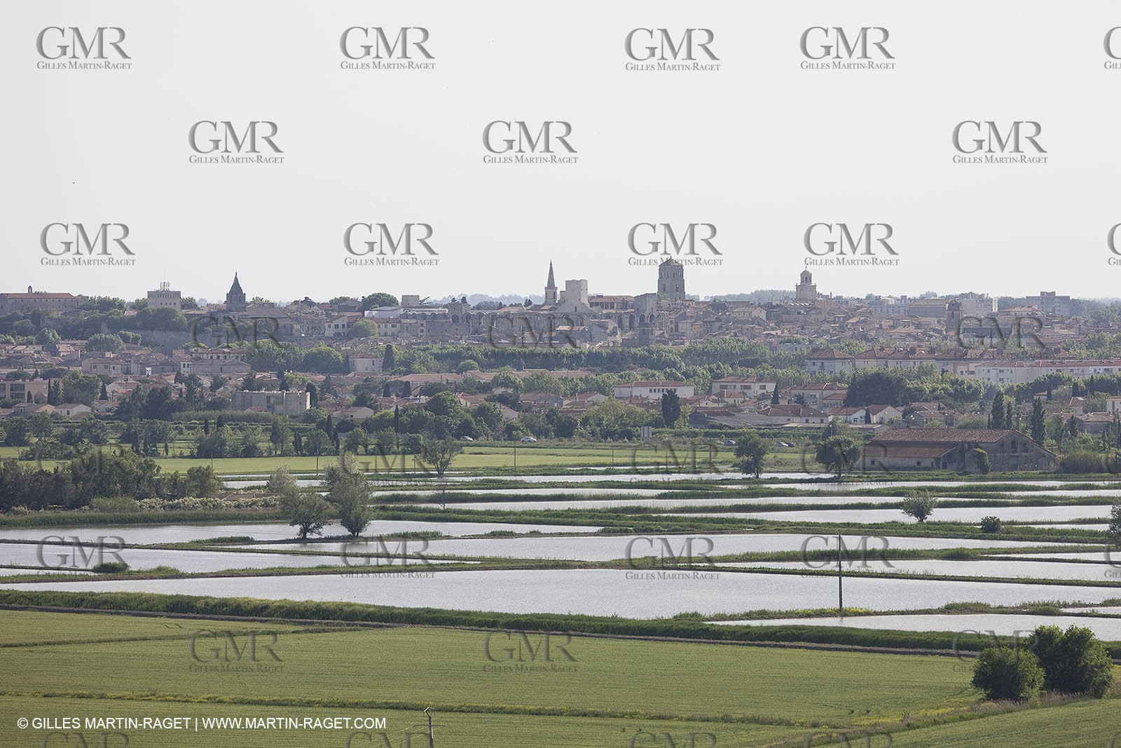 04 05 2008 - Arles (FRA,13)  - Montmajour Abbeye