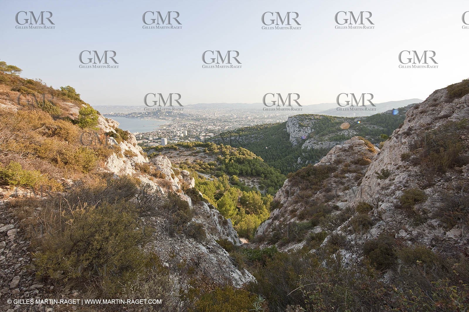 29 07 2009 - Marseille (FRA, 13) - Les Calanques - Massif de Marseilleveyre - Wood of la selle