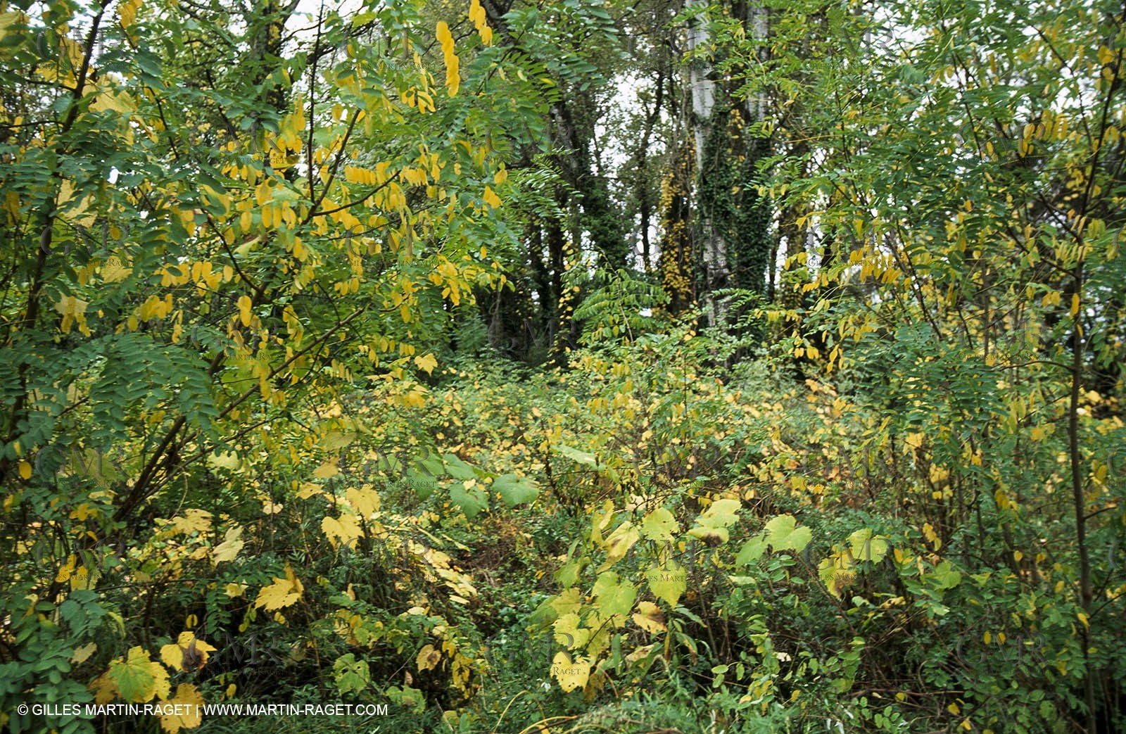 Nîmes Métropole landscapes  (FRA,30) - Gardonenque