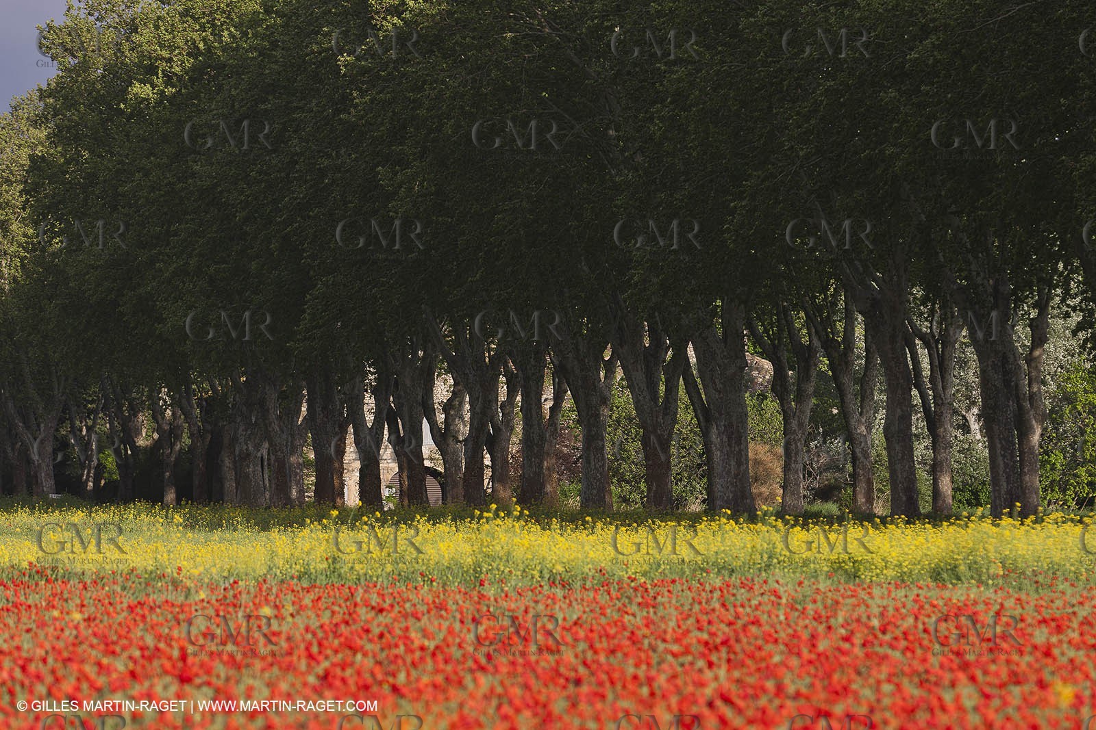 29 04 2012 ( Saint Rémy de Provence (FRA, 13) - Chaîne des Alpilles vers Romanin
