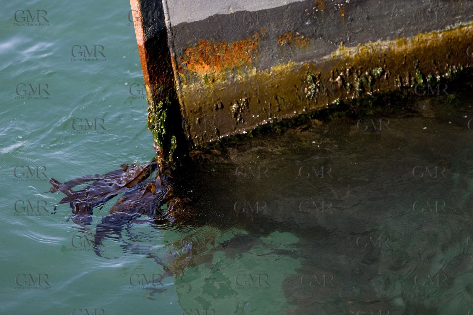 25 08 2008 - Anacortes (USA, WA) - America's Cup - BMW ORACLE Racing - New 90 ft trimaran launch