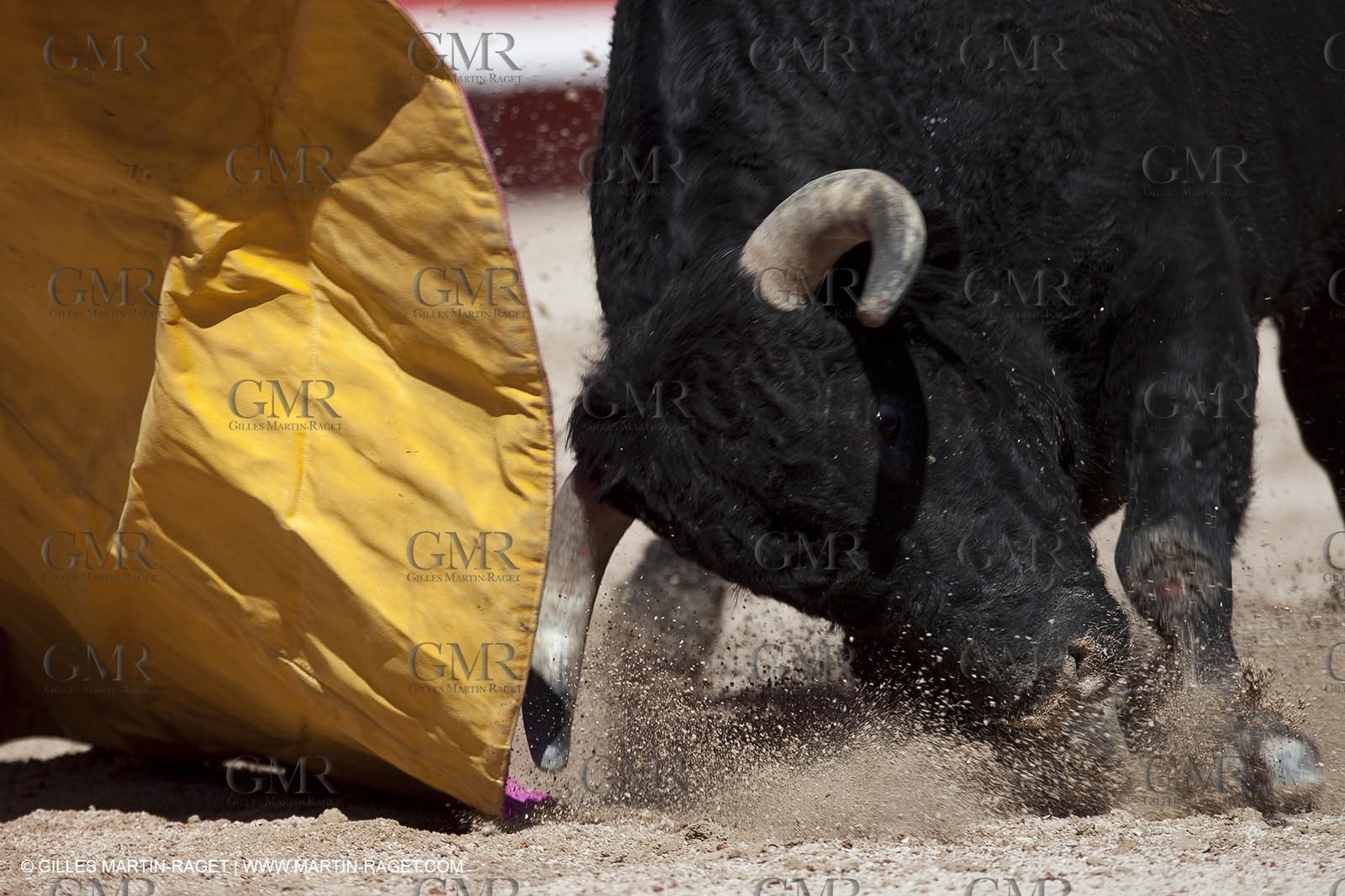 Monday 05 04 2010 - Arles (FRA,13) - Feria 2010 - -Corrida de rejon - Fermin Bohorquez - Pabloe Hemoso de Mendoza - Andy Cartagena - Toros Bohorquez