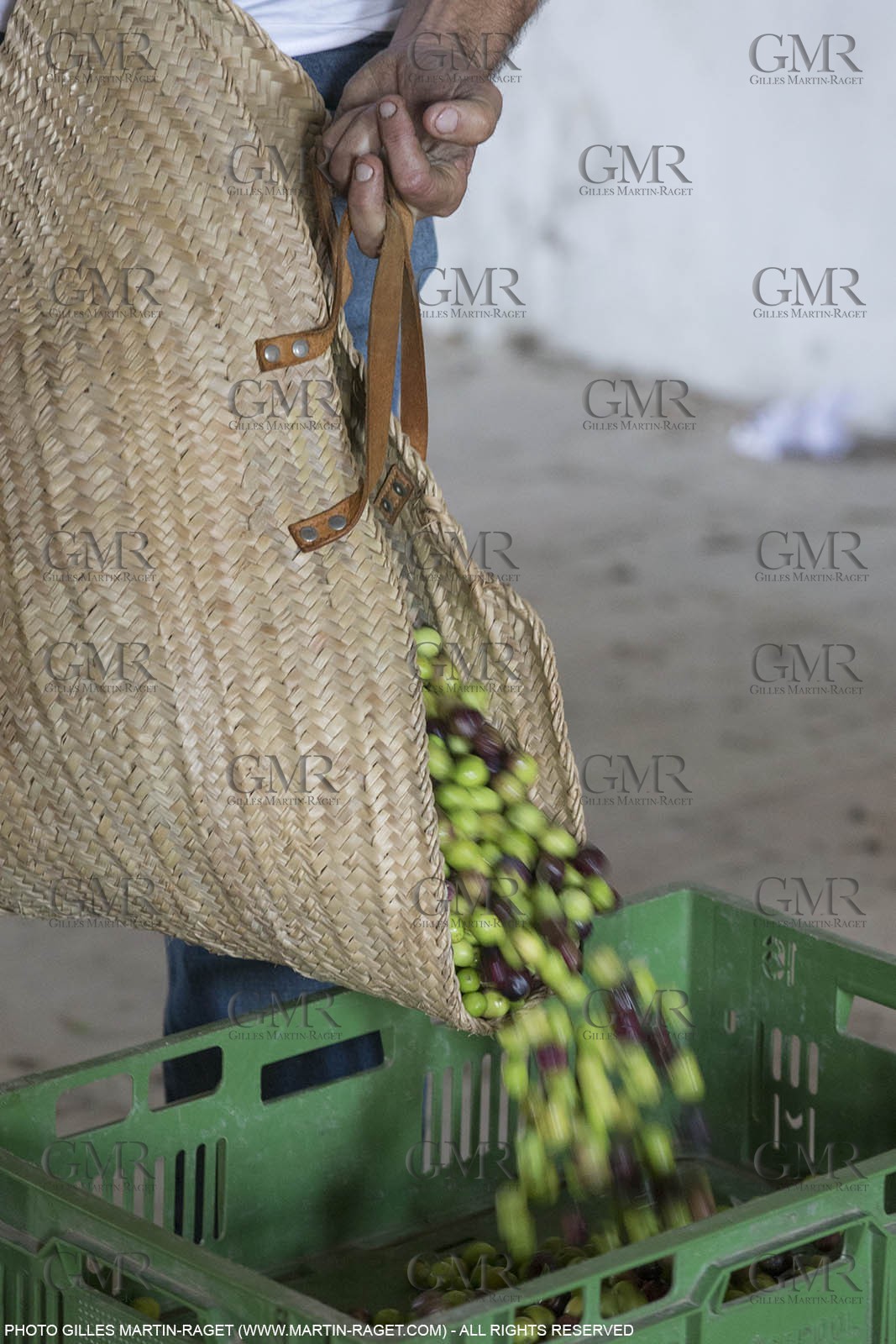 14 11 2015, Saint-Etienne du Grès (FRA,13), traditional making of olive oil at La Croix mill