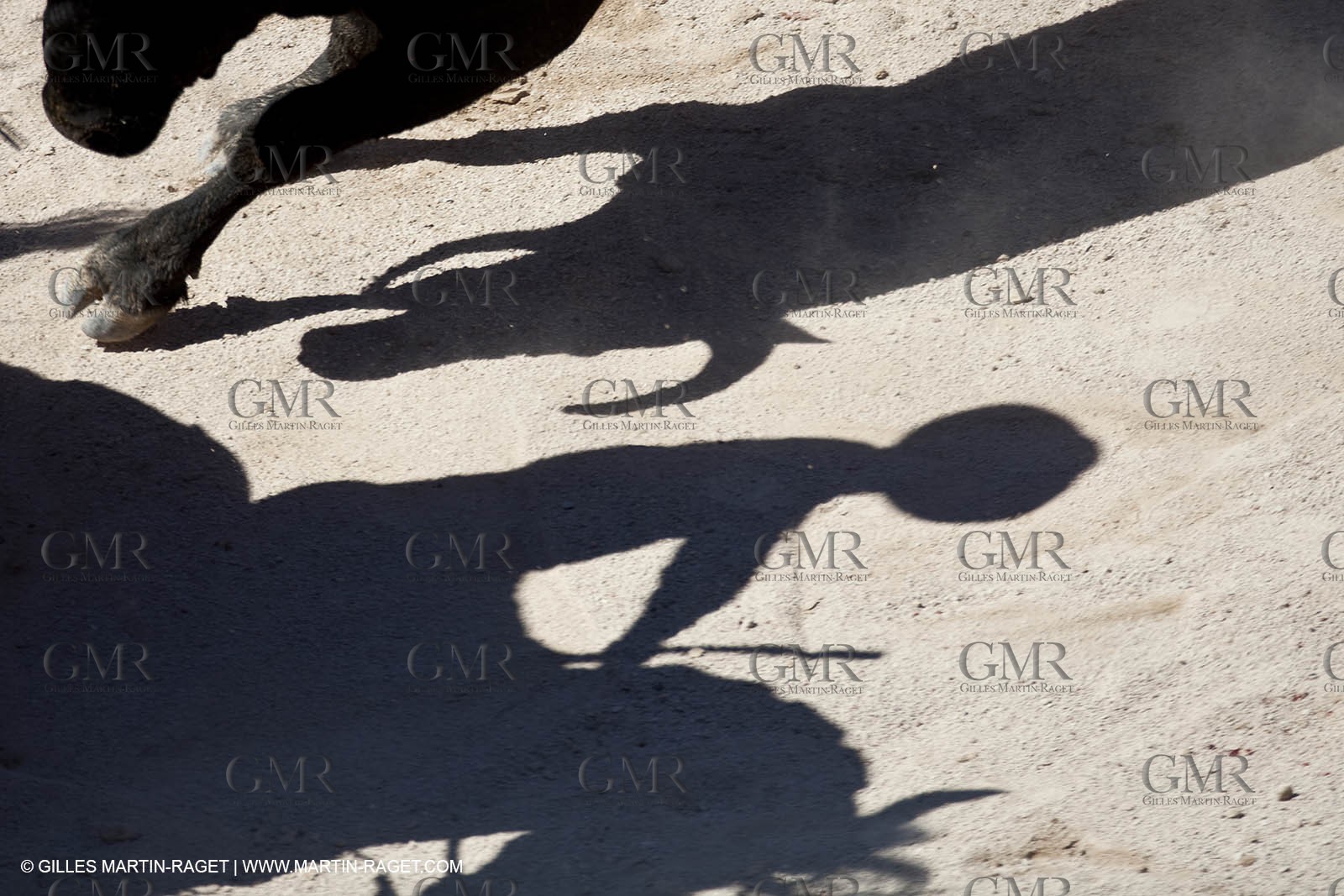 Lundi 05 04 2010 - Arles (FRA,13) - Feria 2010 -Corrida de rejon - Fermin Bohorquez - Pabloe Hemoso de Mendoza - Andy Cartagena - Toros Bohorquez