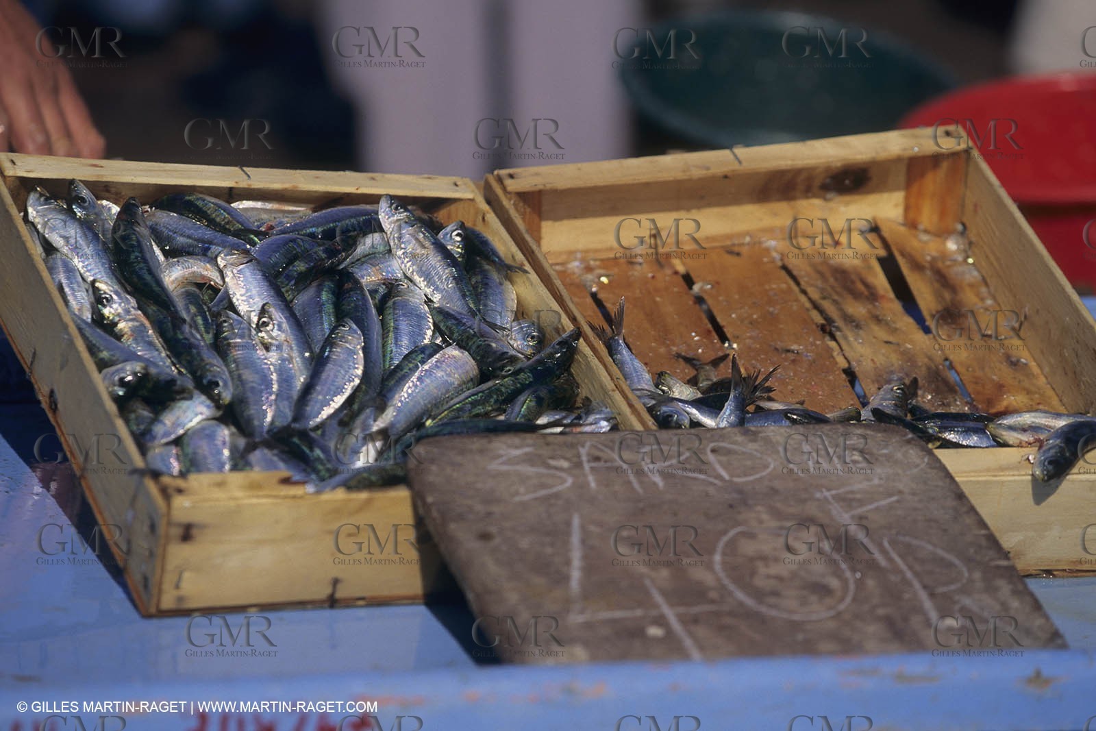 France, Provence, Cooking, Bouillabaisse