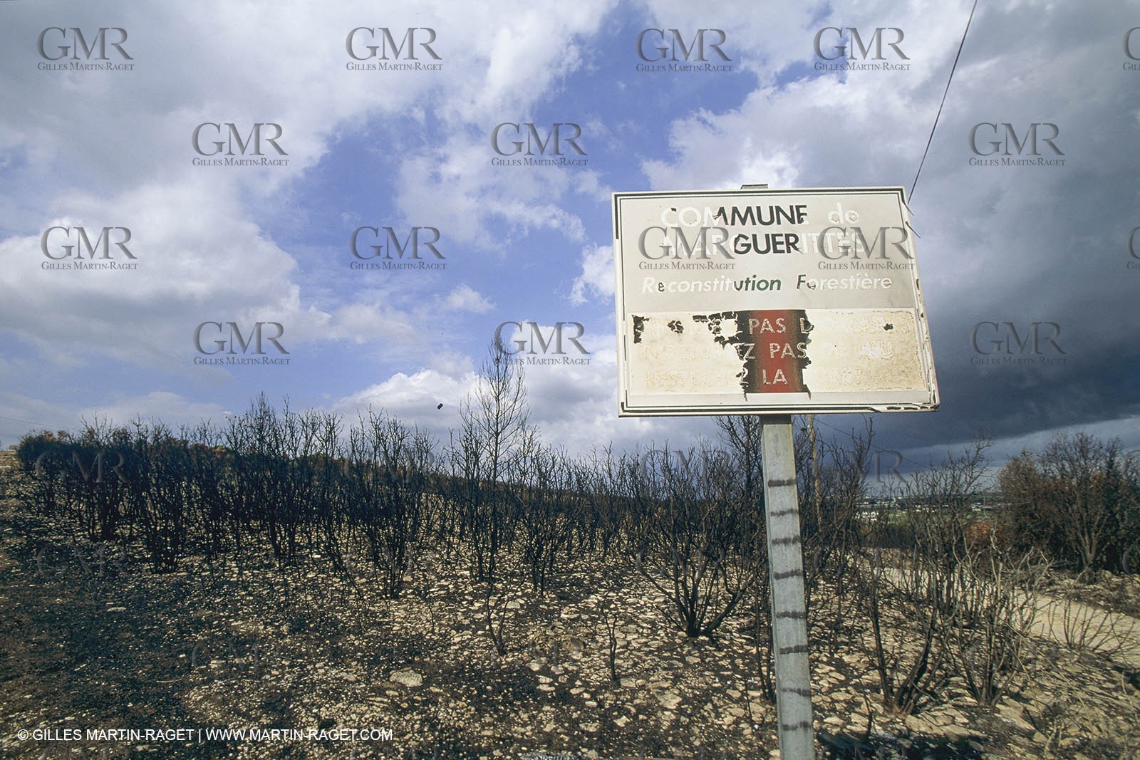 France, Languedoc Roussillon, Incendies, bushfires
