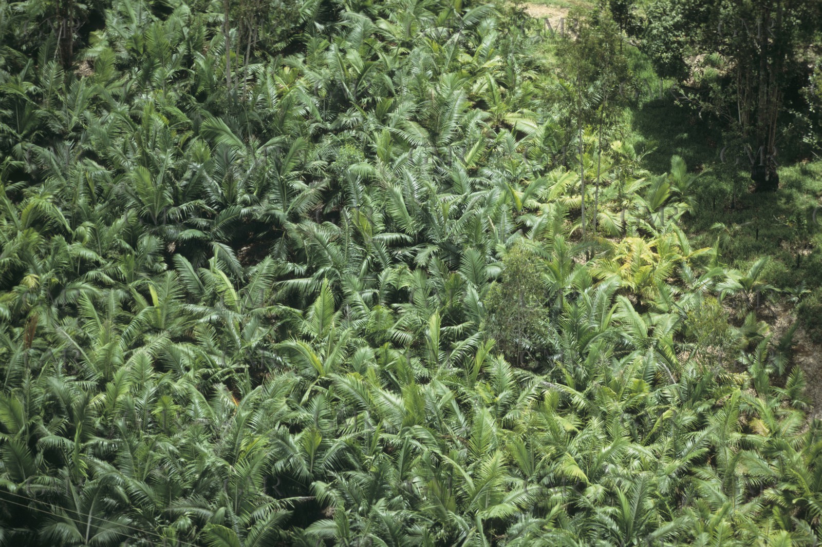 Destinations, Mauritius Island